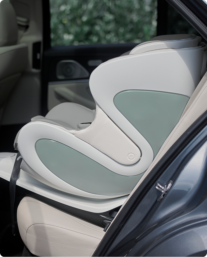 babyark Smart Convertible Car Seat