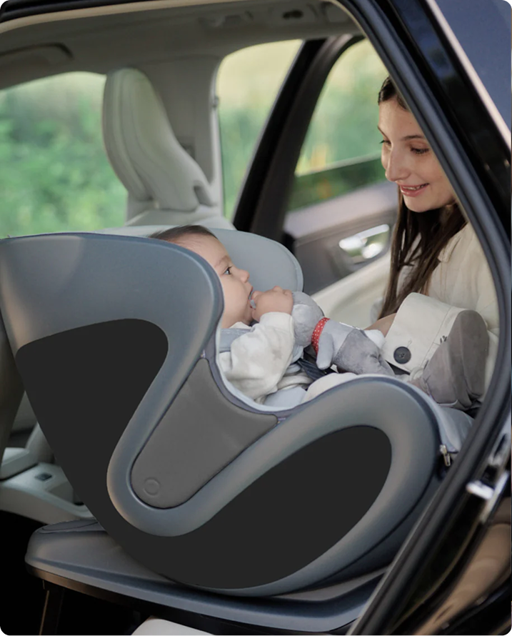babyark Smart Convertible Car Seat