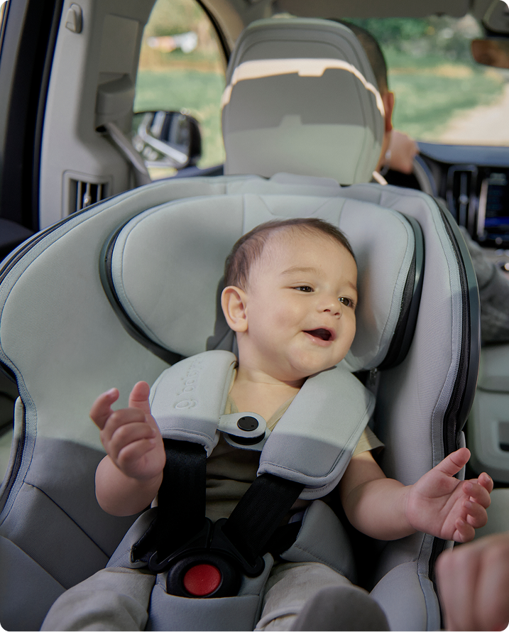 babyark Smart Convertible Car Seat