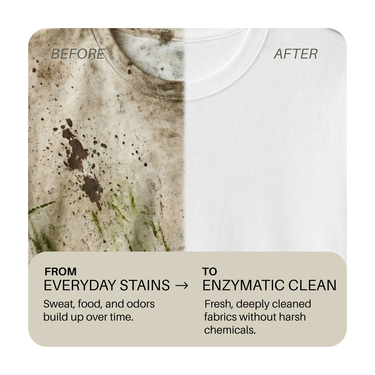 Everneat Laundry Soap - Up to 64 Loads (16oz)