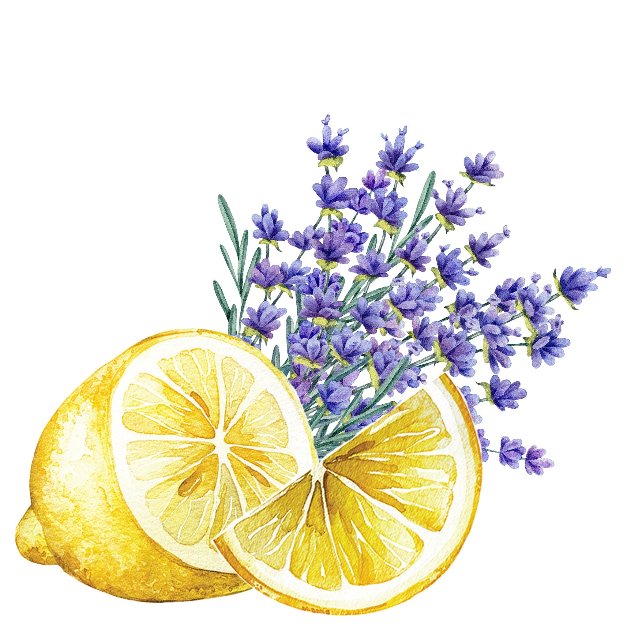 Rustic Strength Laundry Detergent | Lavender & Lemon | 5 Gallon Eco Jug with Spout