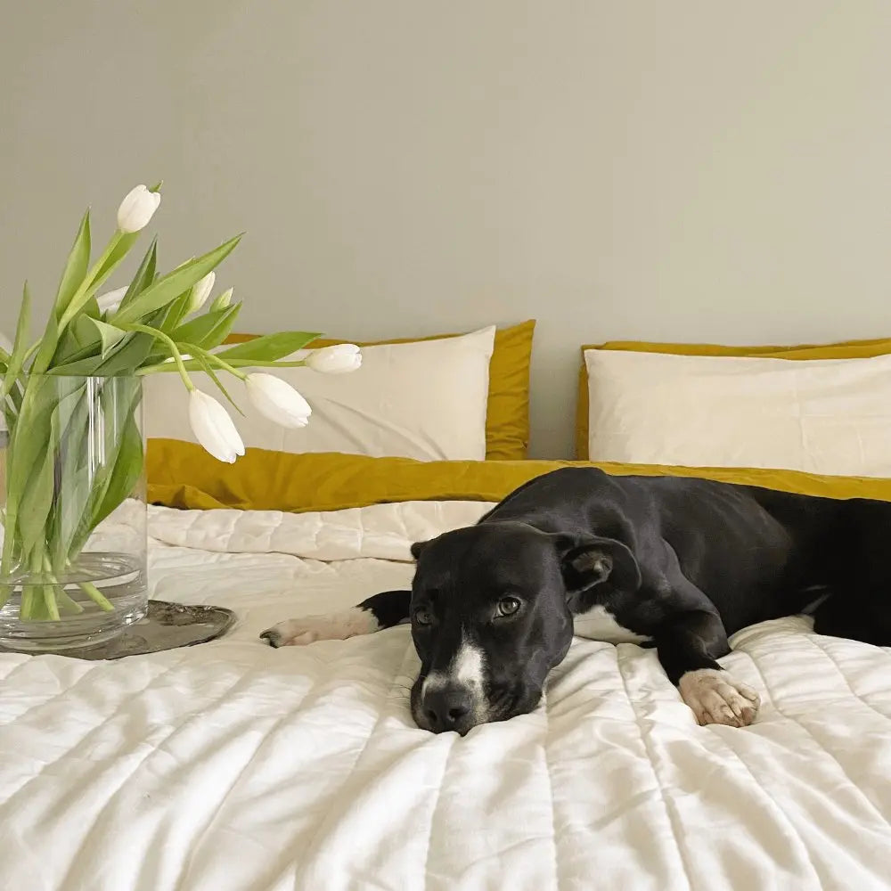 Ettitude Linen+ Bamboo Quilted Coverlet