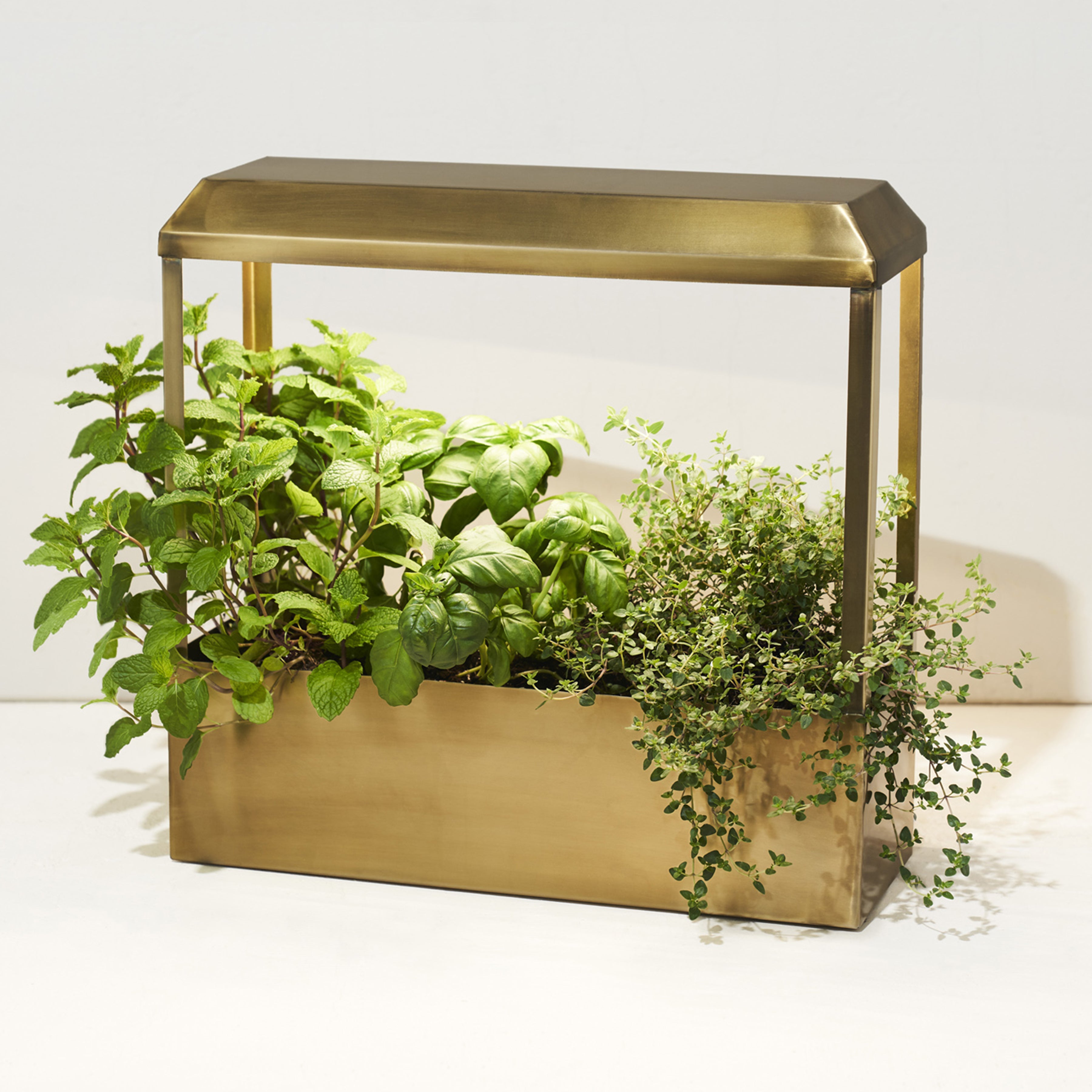 Modern Sprout Smart Growhouse
