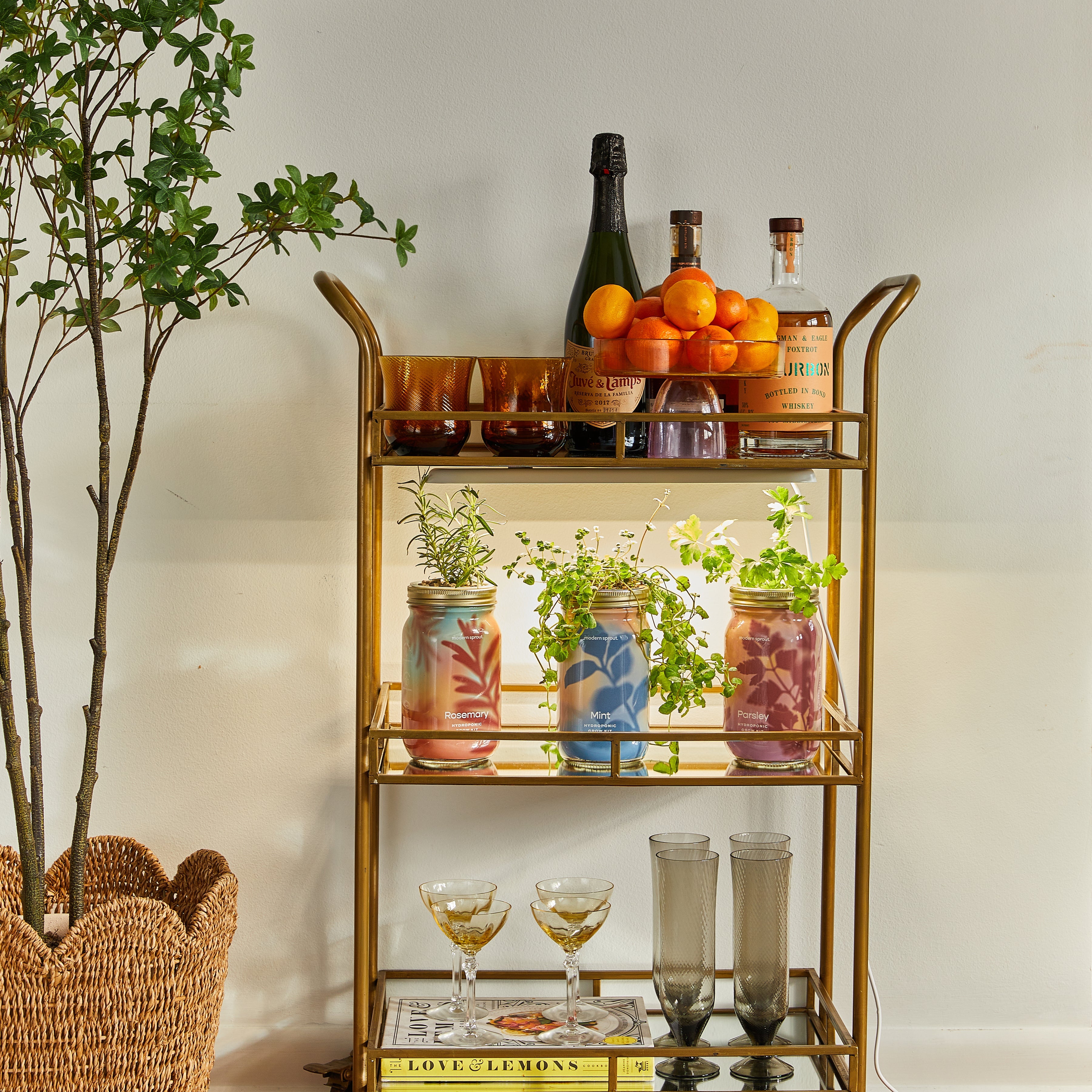 Modern Sprout Smart Growbar