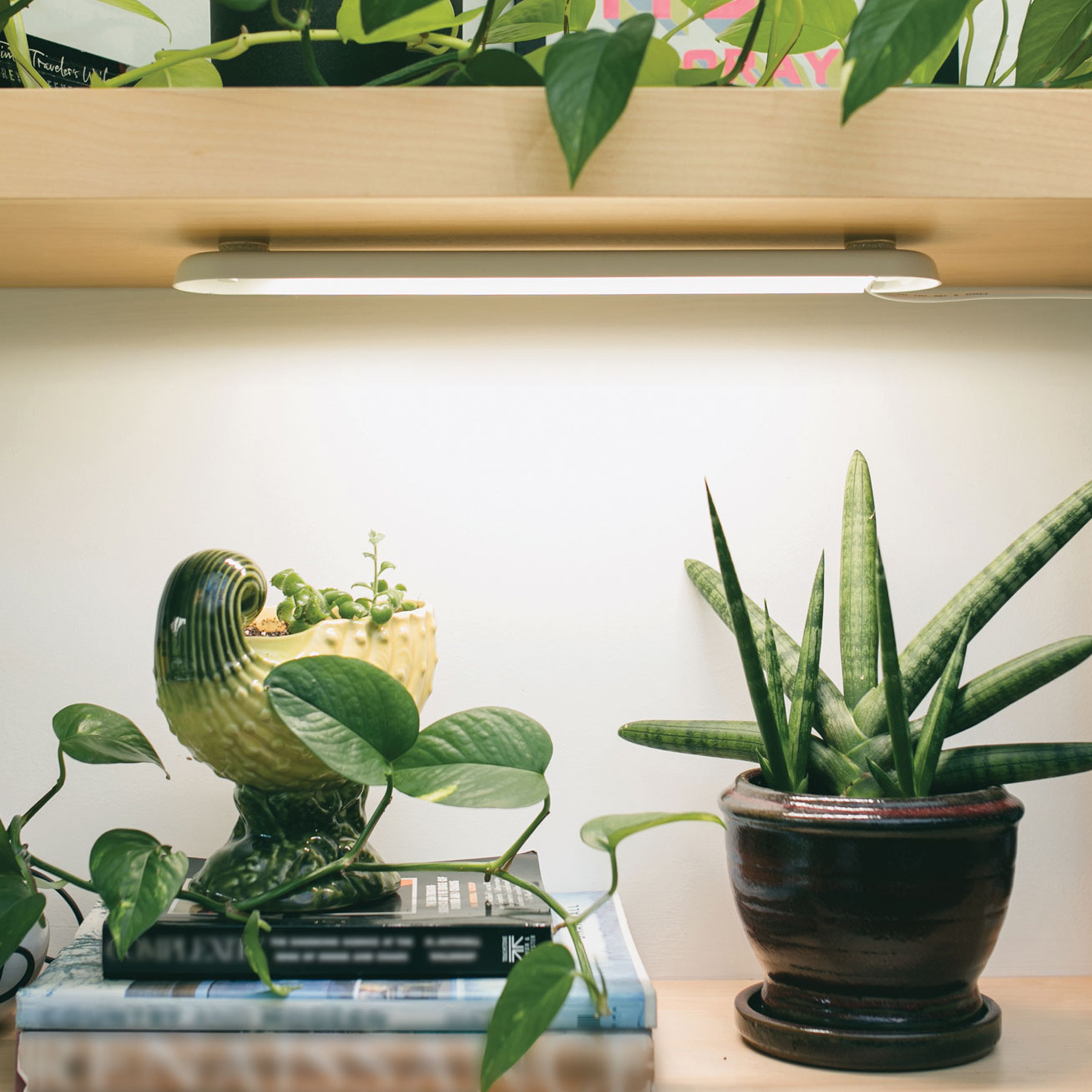 Modern Sprout Smart Growbar