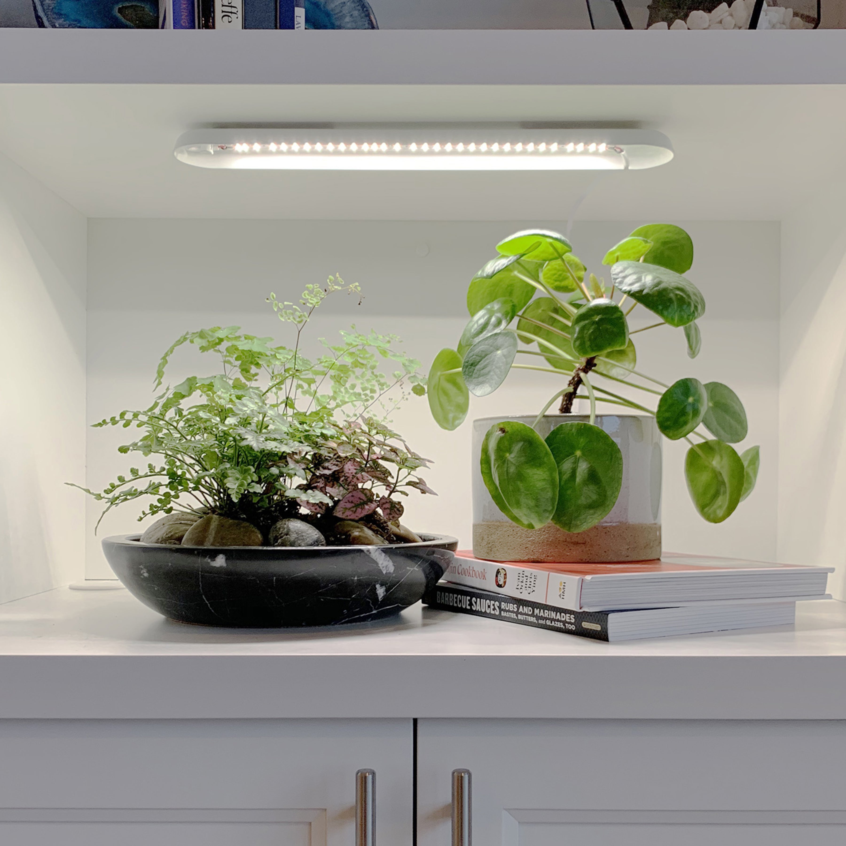 Modern Sprout Smart Growbar