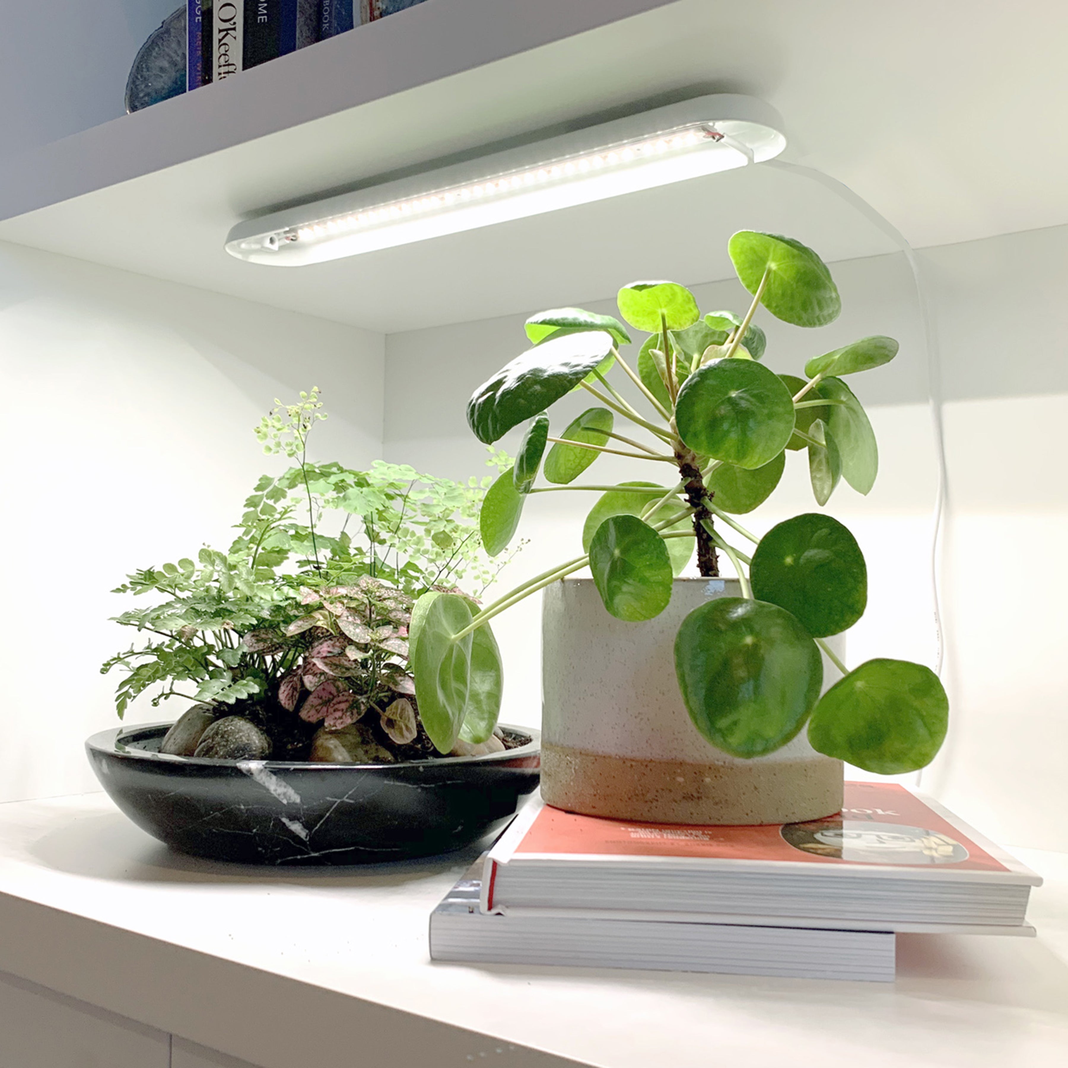 Modern Sprout Smart Growbar - Gimme the Good Stuff
