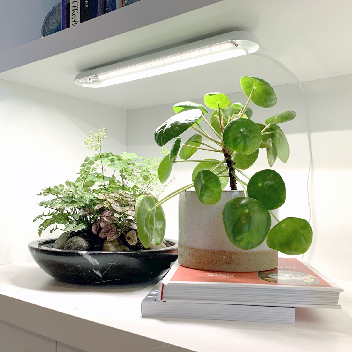 3. Smart Growbar