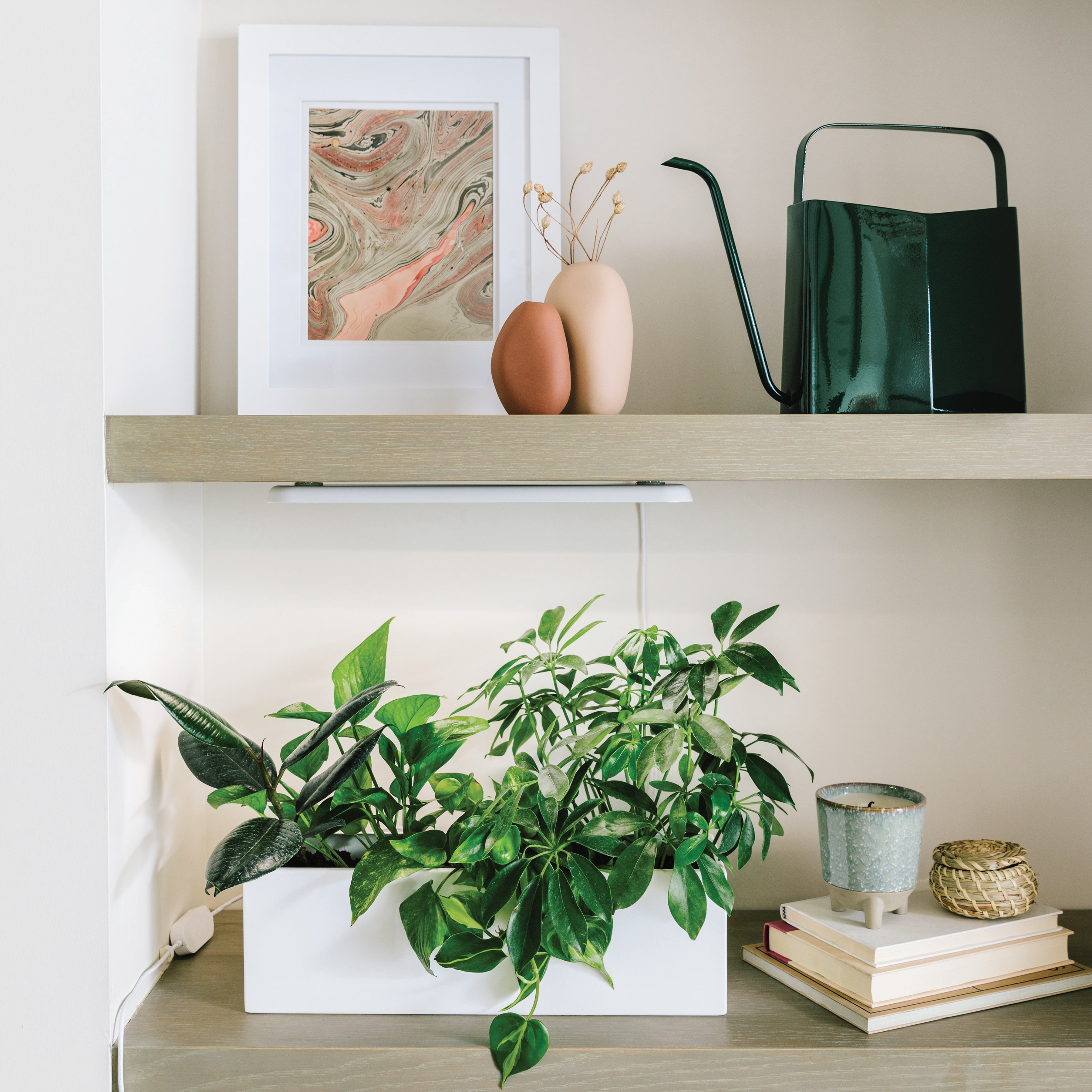 Modern Sprout Smart Growbar