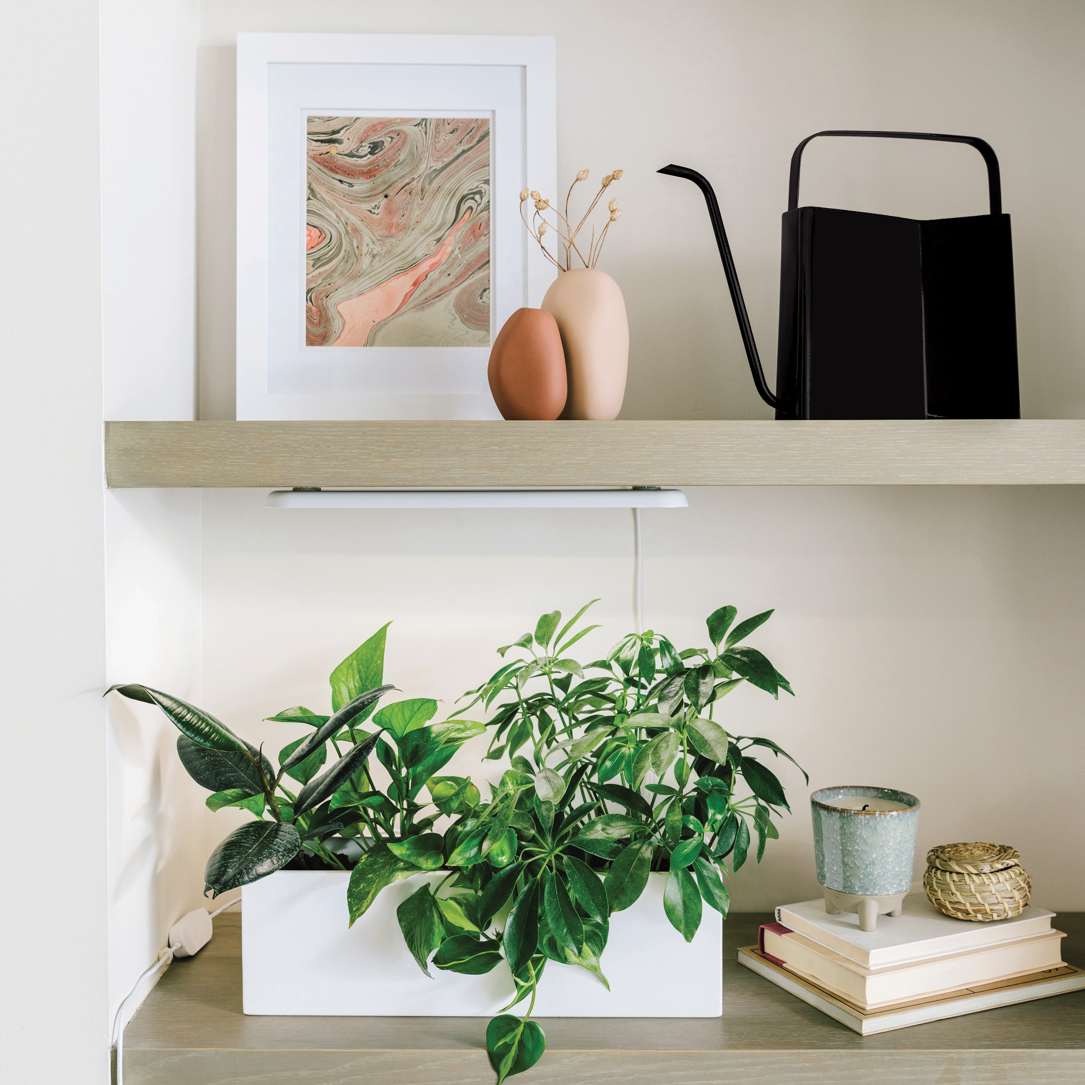 best watering can indoor plants Modern Sprout Watering Can
