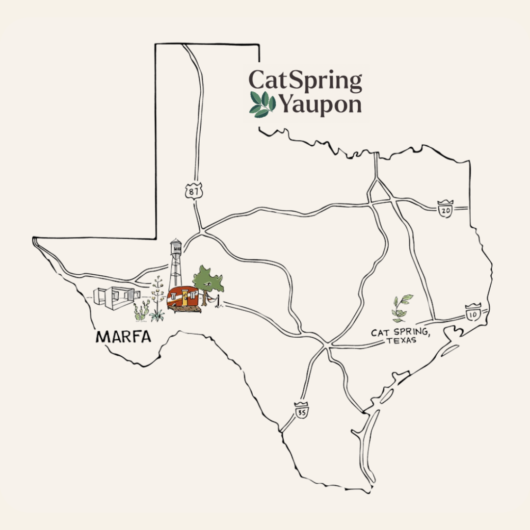 CatSpring Yaupon Marfa - Dark Roast Bulk (1 lb)