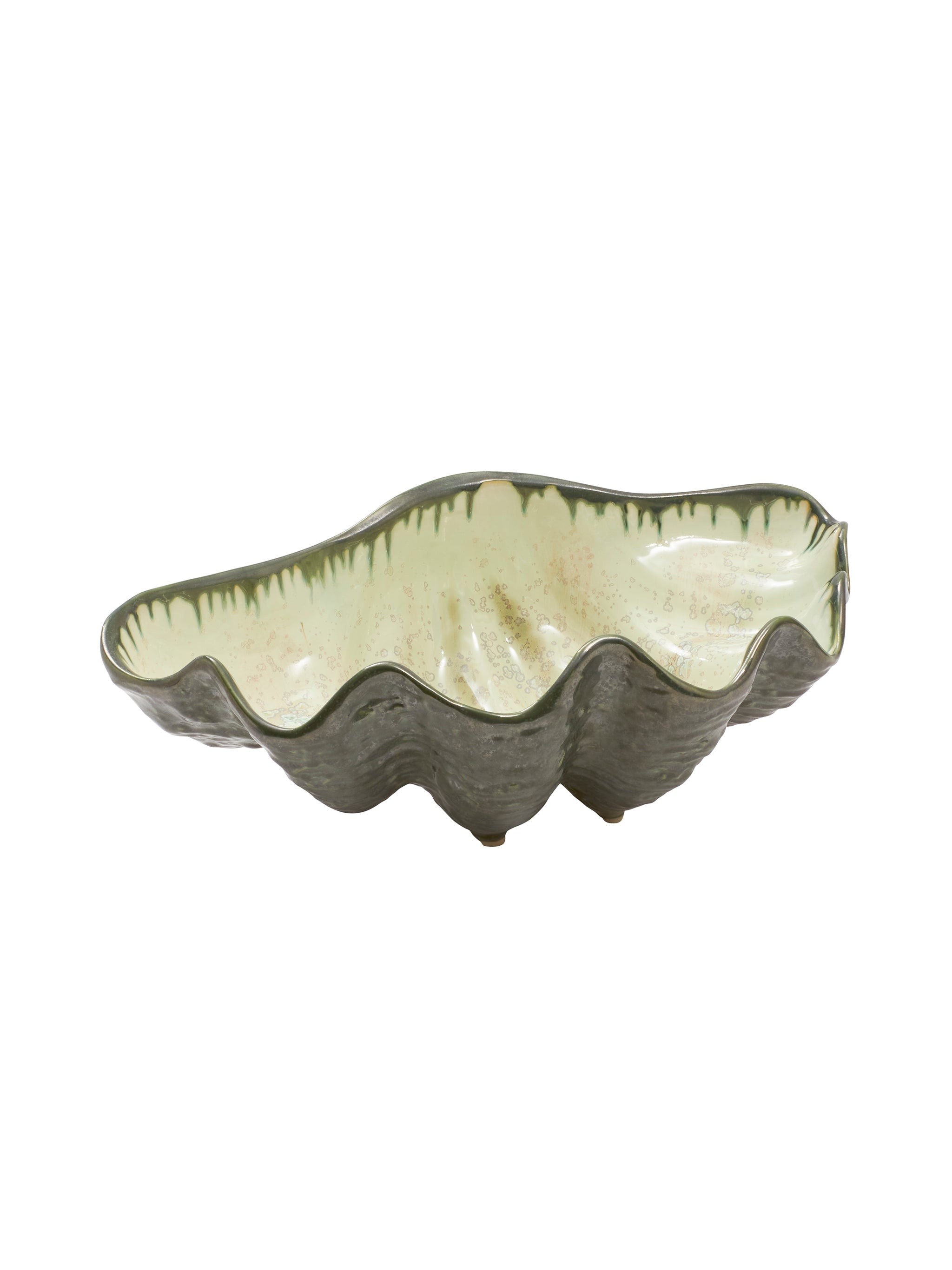 Ceramic shell-shaped bowl with wavy edge on a white background