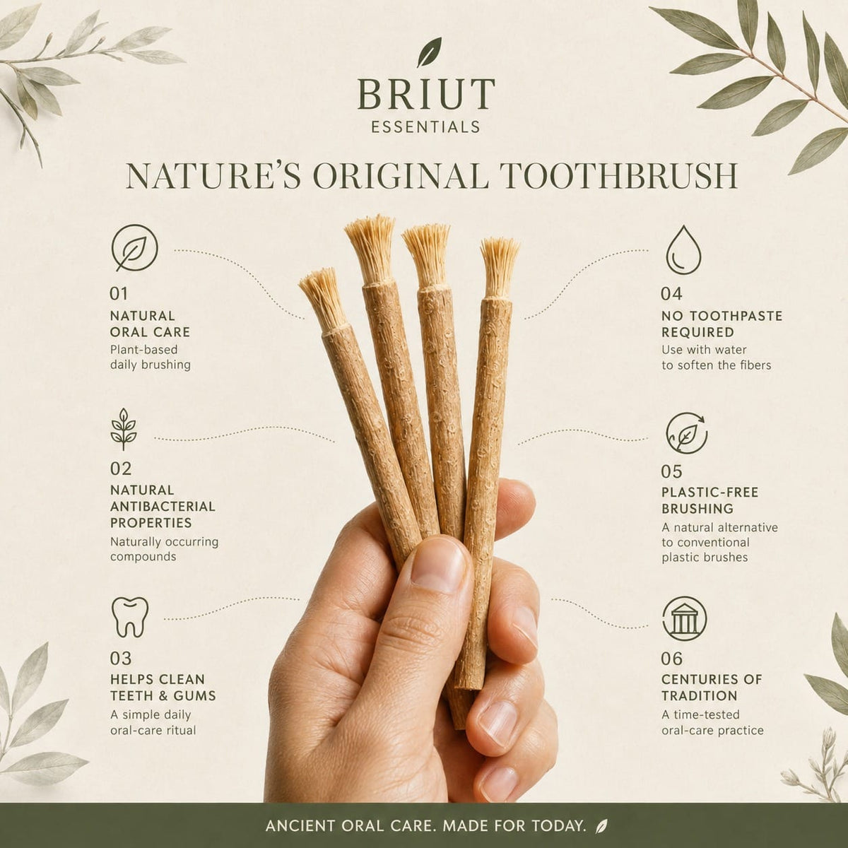 Briut Essentials - Briut Pure Miswak - 6 pack