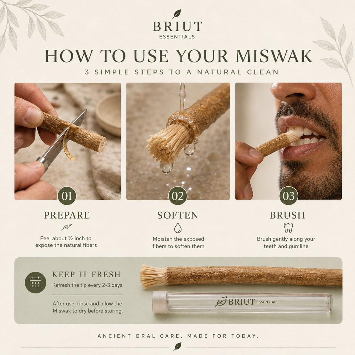 Briut Essentials - Briut Pure Miswak - 6 pack