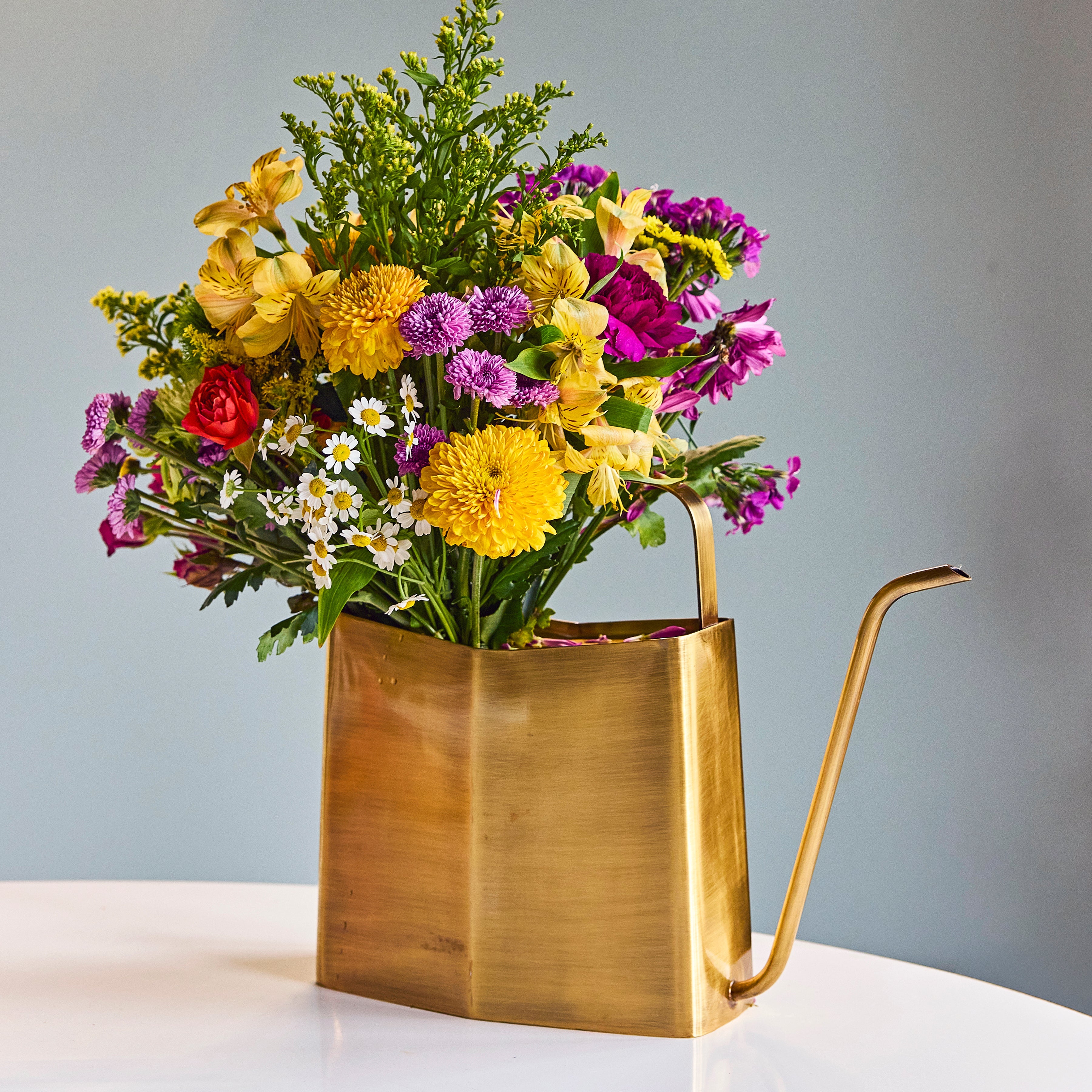 best watering can indoor plants Modern Sprout Watering Can