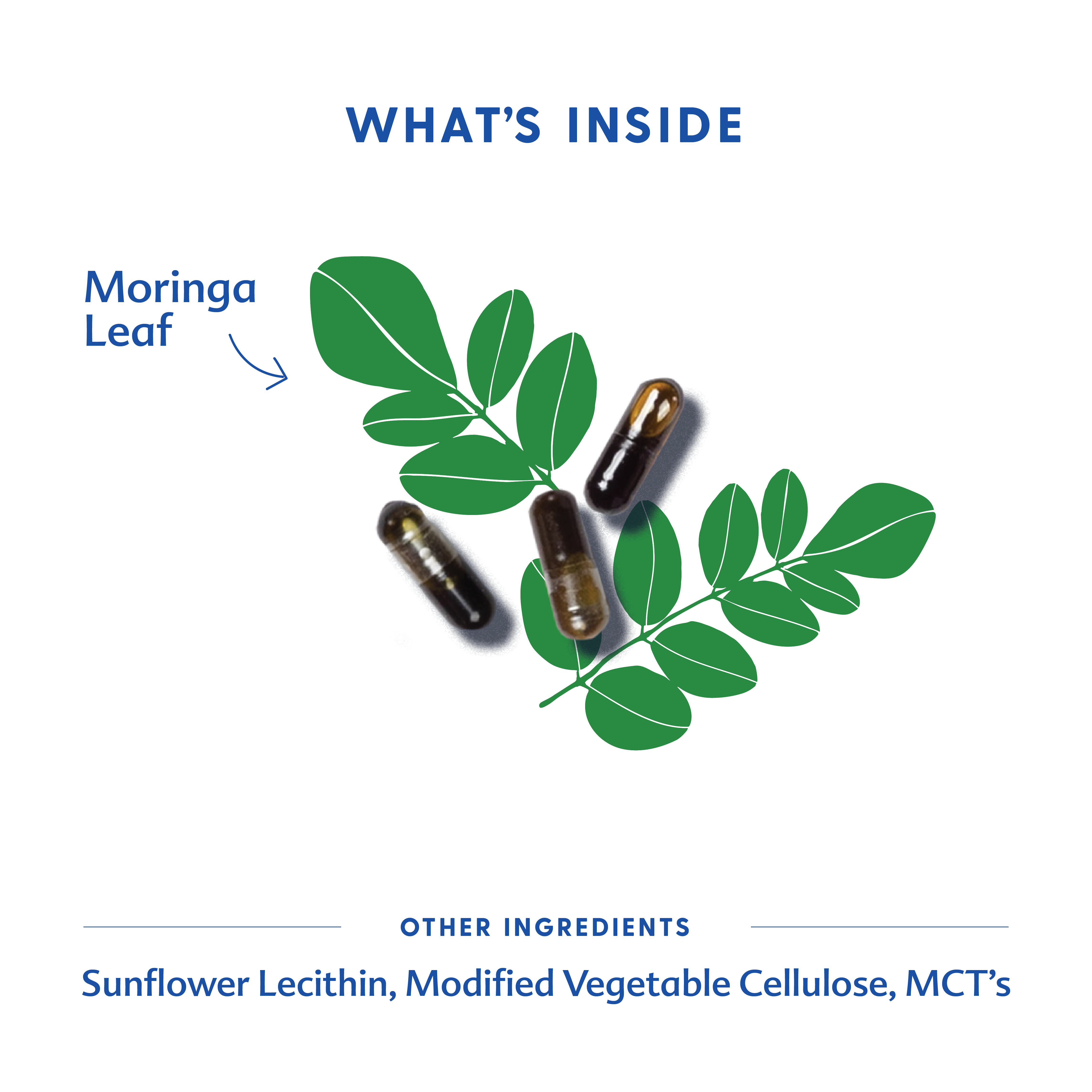 Motherlove Herbal Company Moringa (Malunggay) - Liquid Capsules