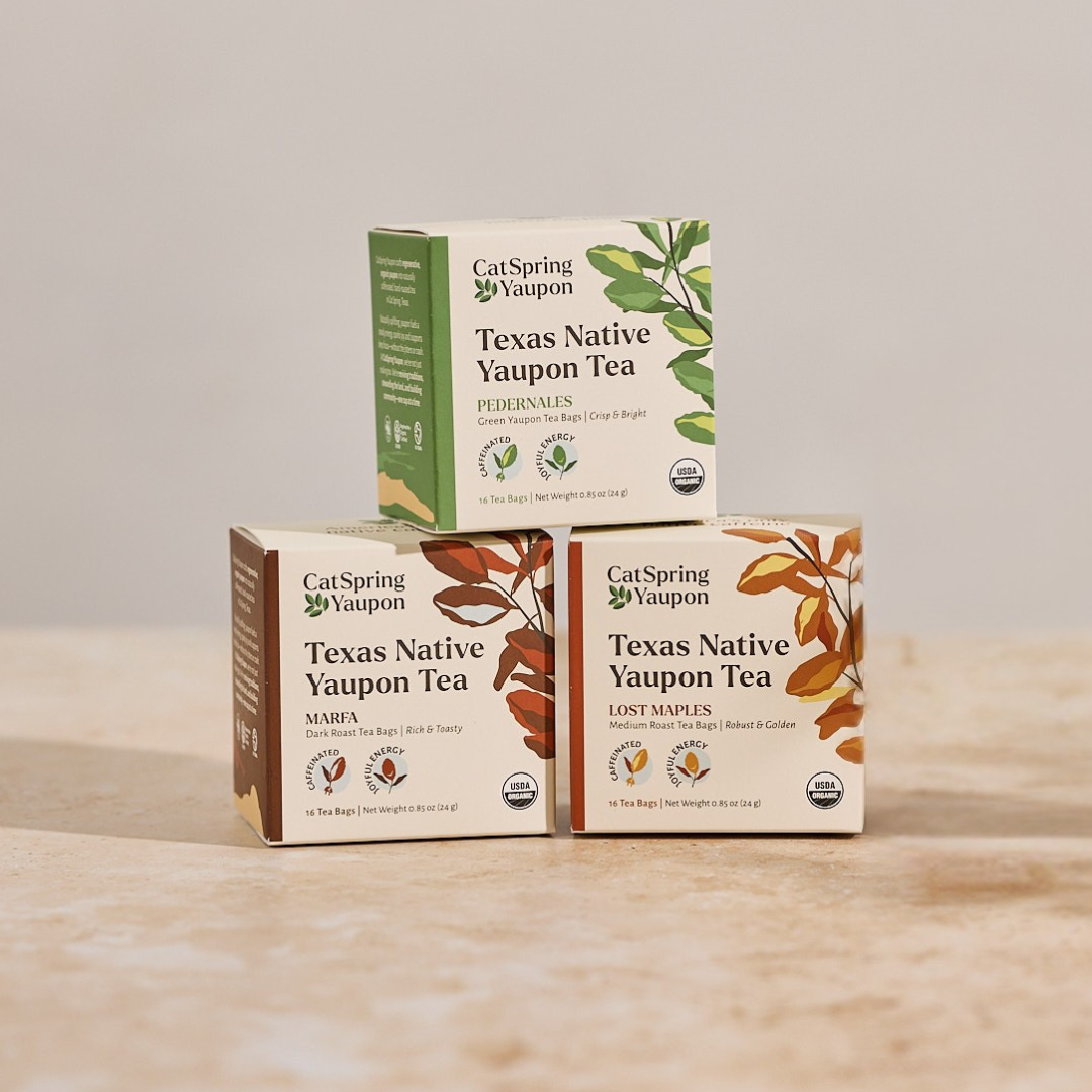 CatSpring Yaupon Multipack Yaupon Tea - 3 boxes of Yaupon Tea Bags (48 Count)