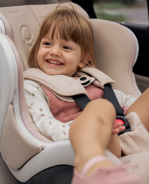 babyark Smart Convertible Car Seat