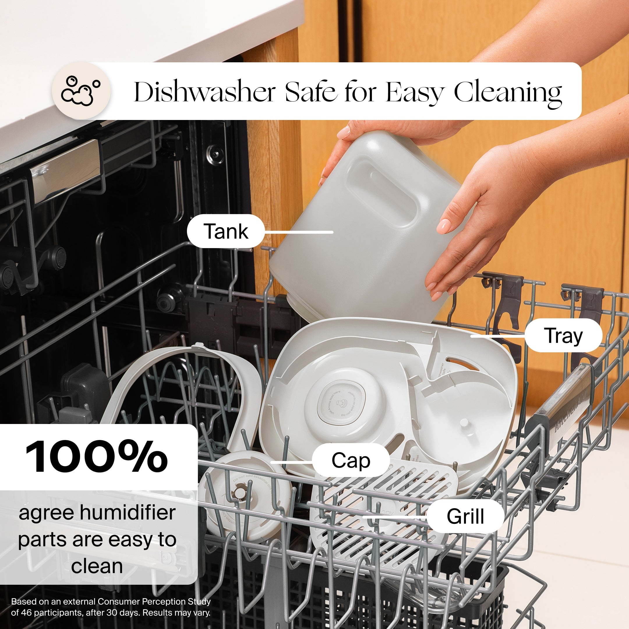 Canopy Large Room Humidifier