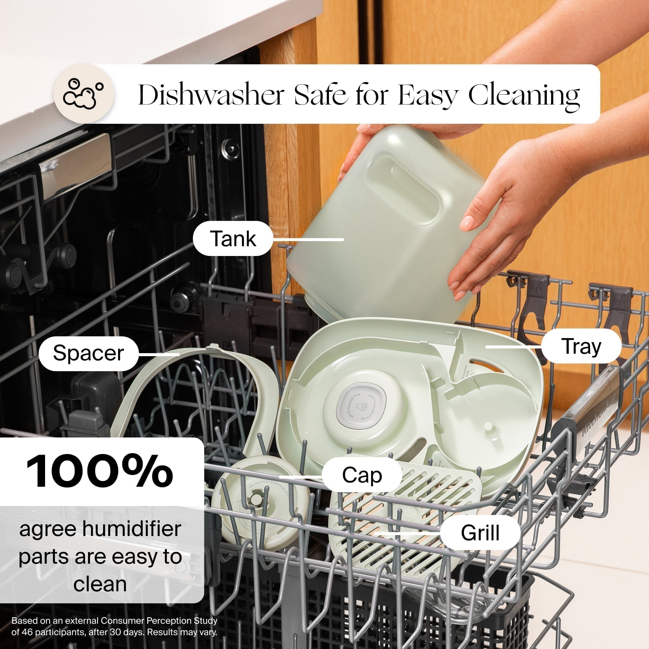 Canopy Bedside Humidifier 2.0