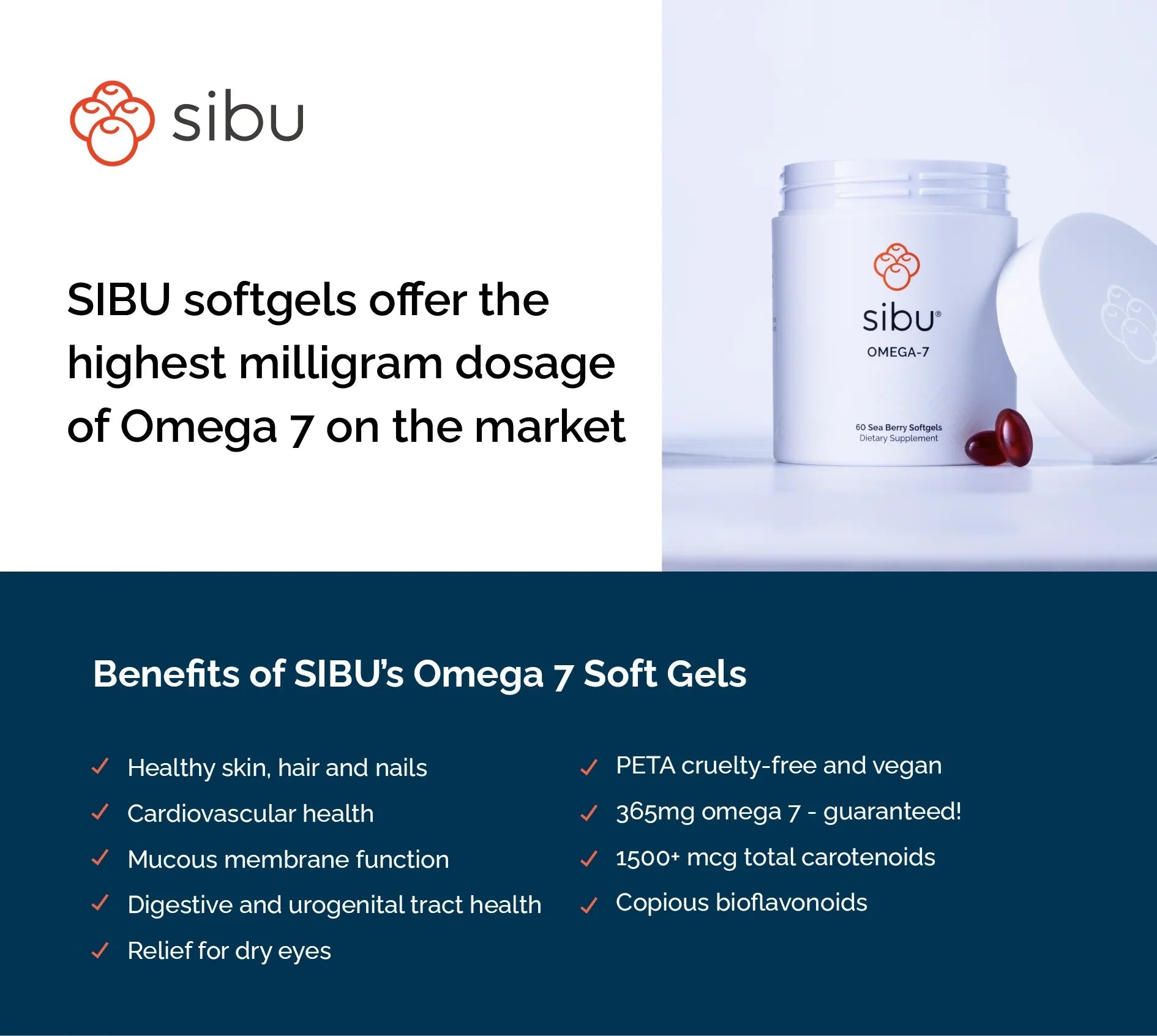 Omega-7 Support - Sea Buckthorn Supplement