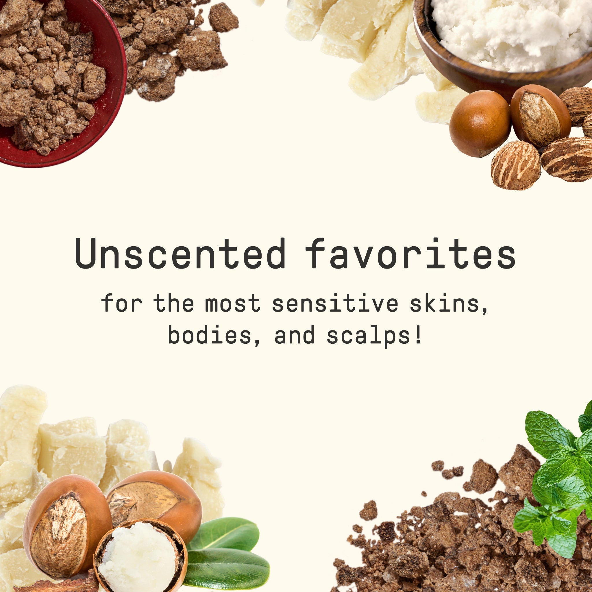 Alaffia Africa's Secret Multi-Use Balm - Unscented 2 oz