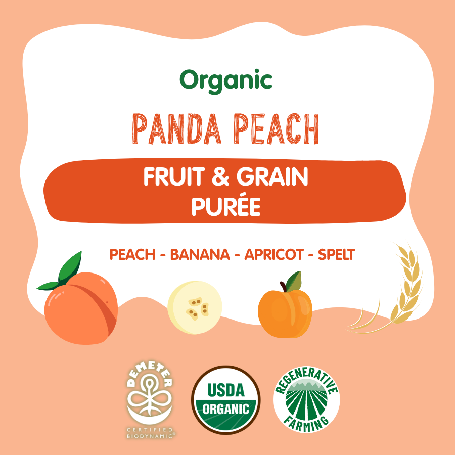 Holle Organic Panda Peach Fruit & Grain Pouches