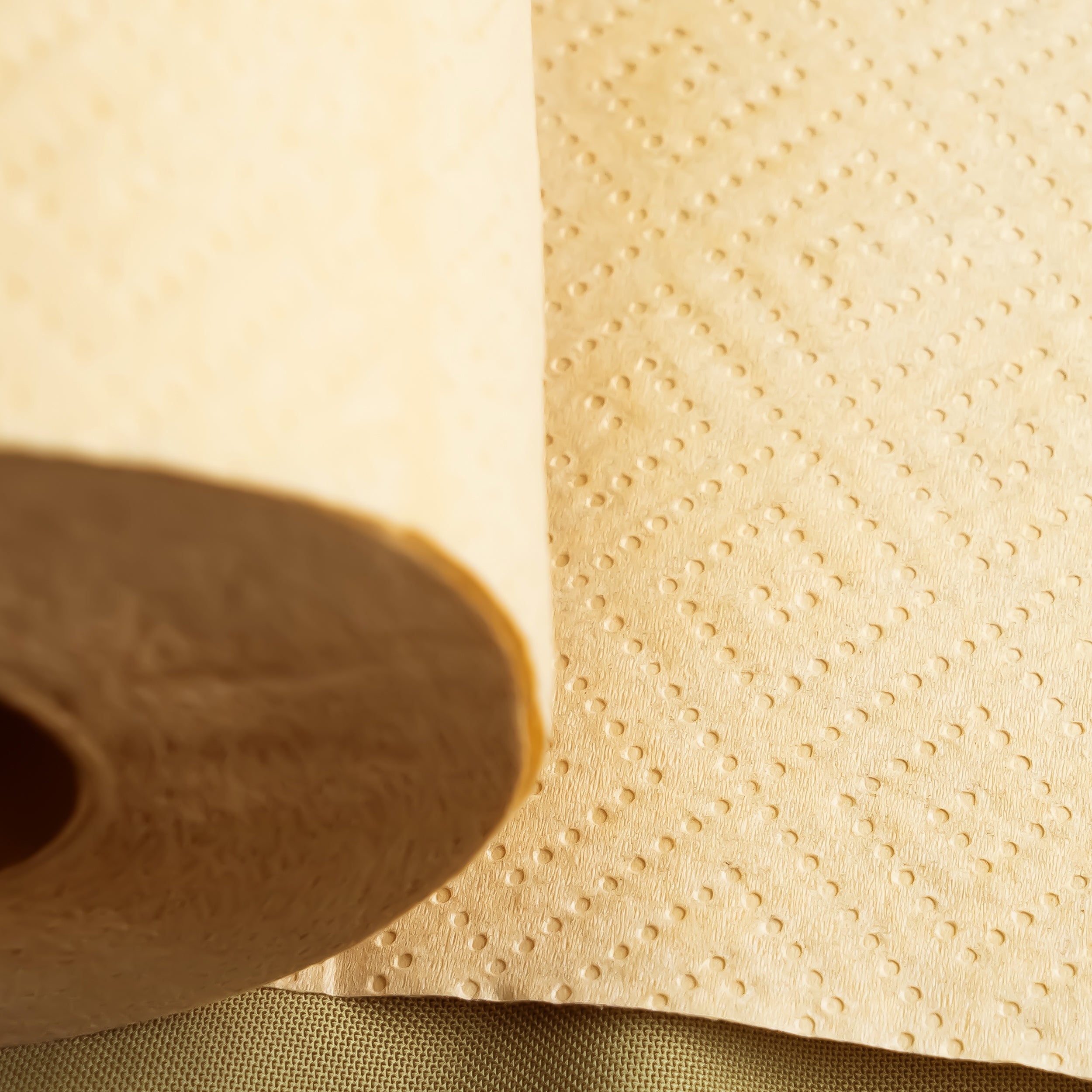 Rustic Strength Panda Eco Paper | Bamboo Paper Towel