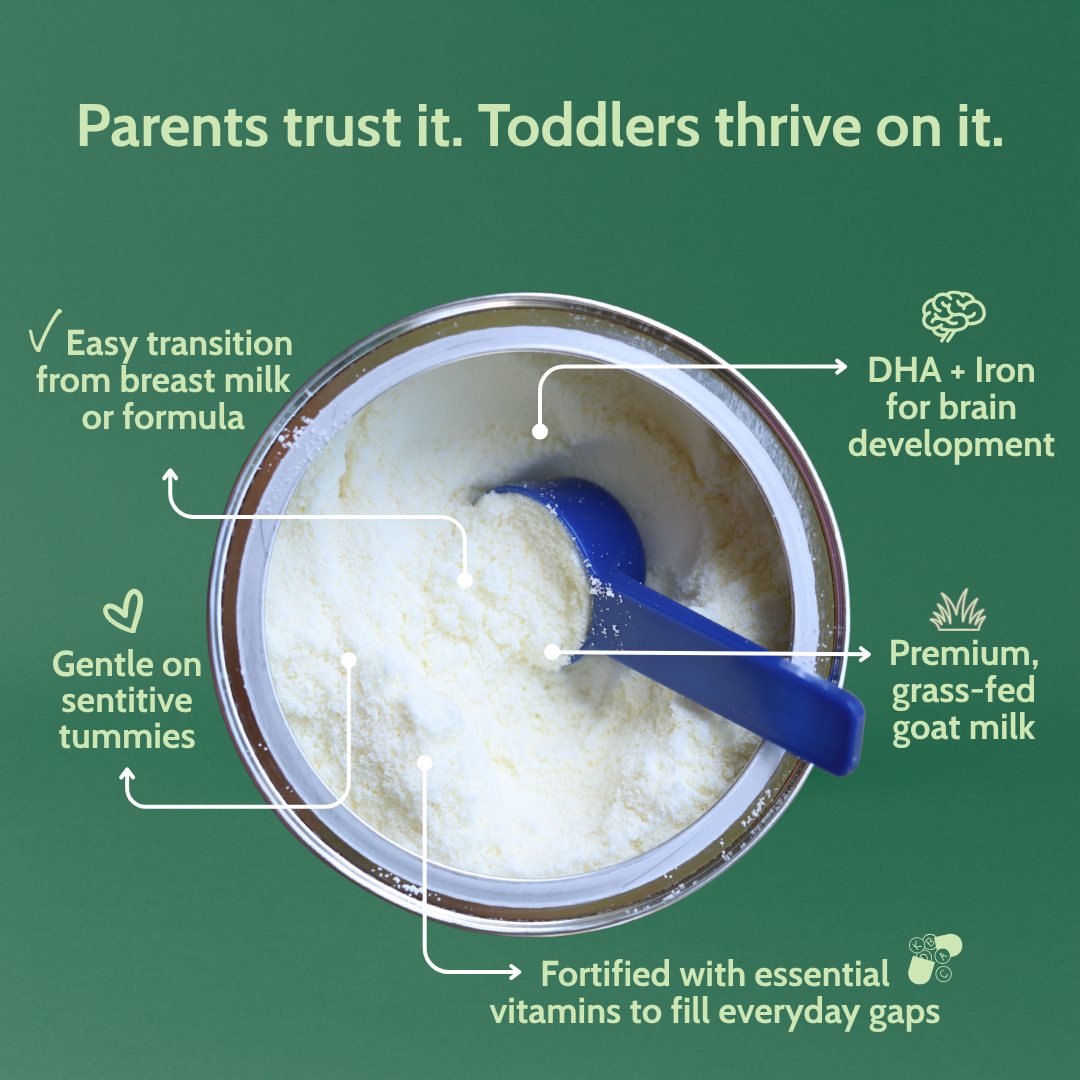 Holle Goat Milk Toddler Drink - Stage 3 | Non GMO (14 oz)