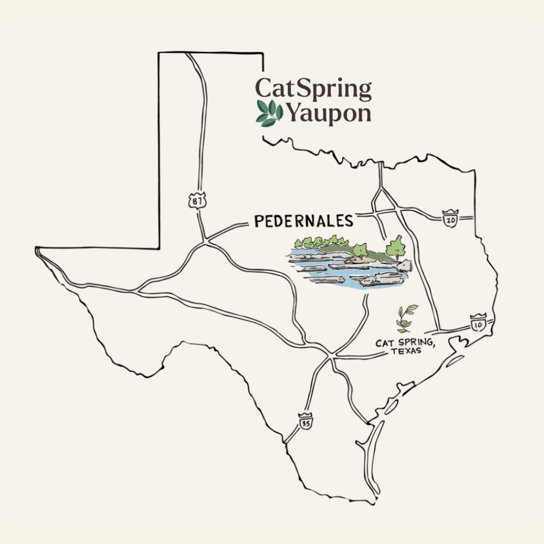 CatSpring Yaupon Pedernales Green Yaupon — Green Yaupon Tea — Loose Leaf (2oz)
