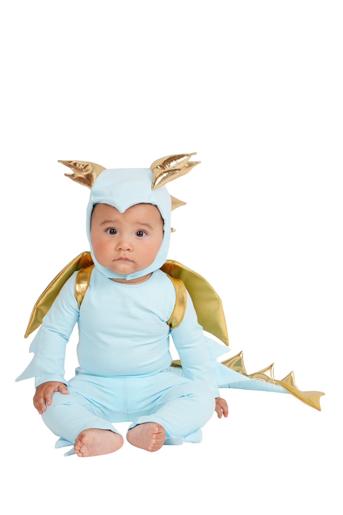 Band of the Wild Sky Blue Dragon Costume