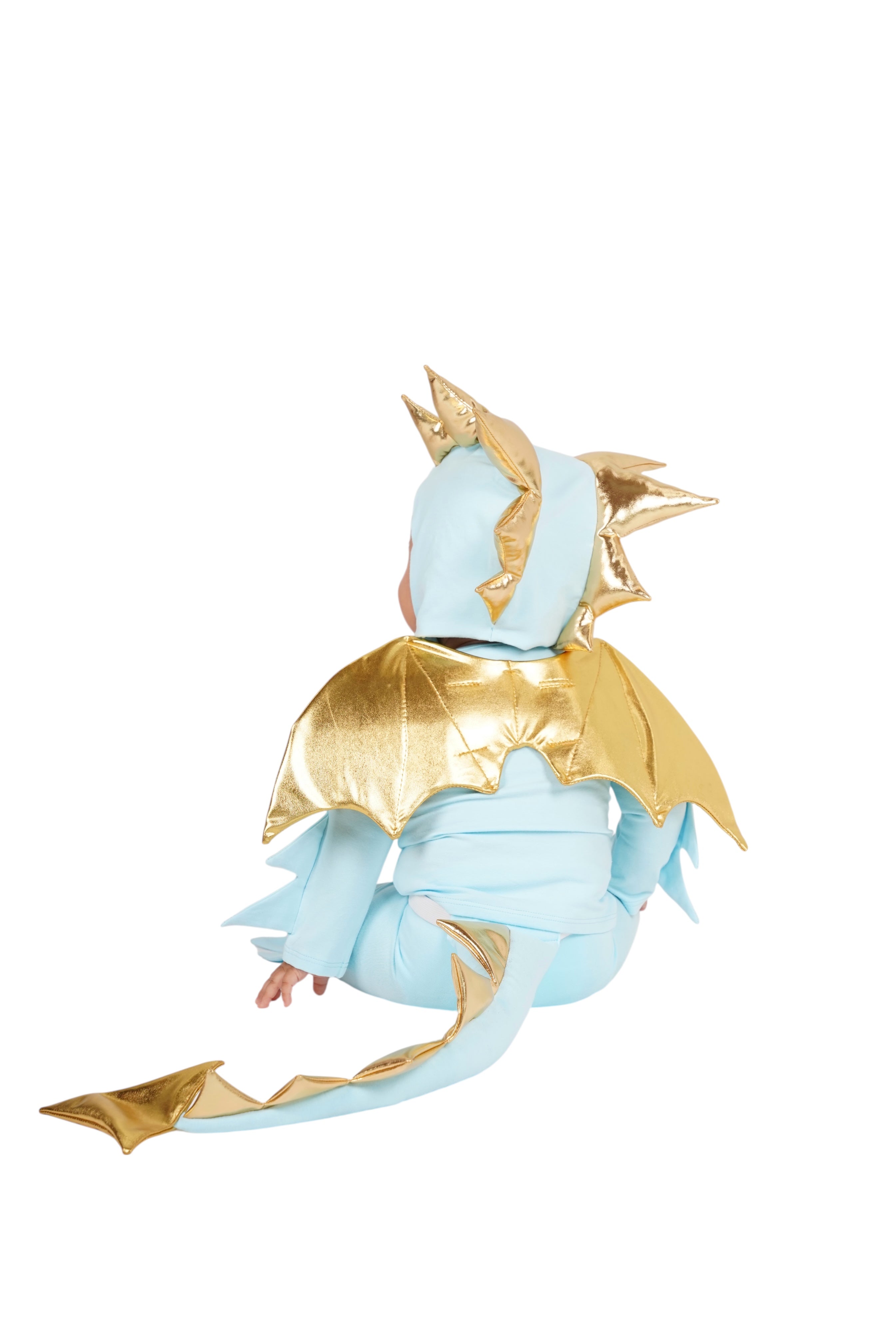 Band of the Wild Sky Blue Dragon Costume