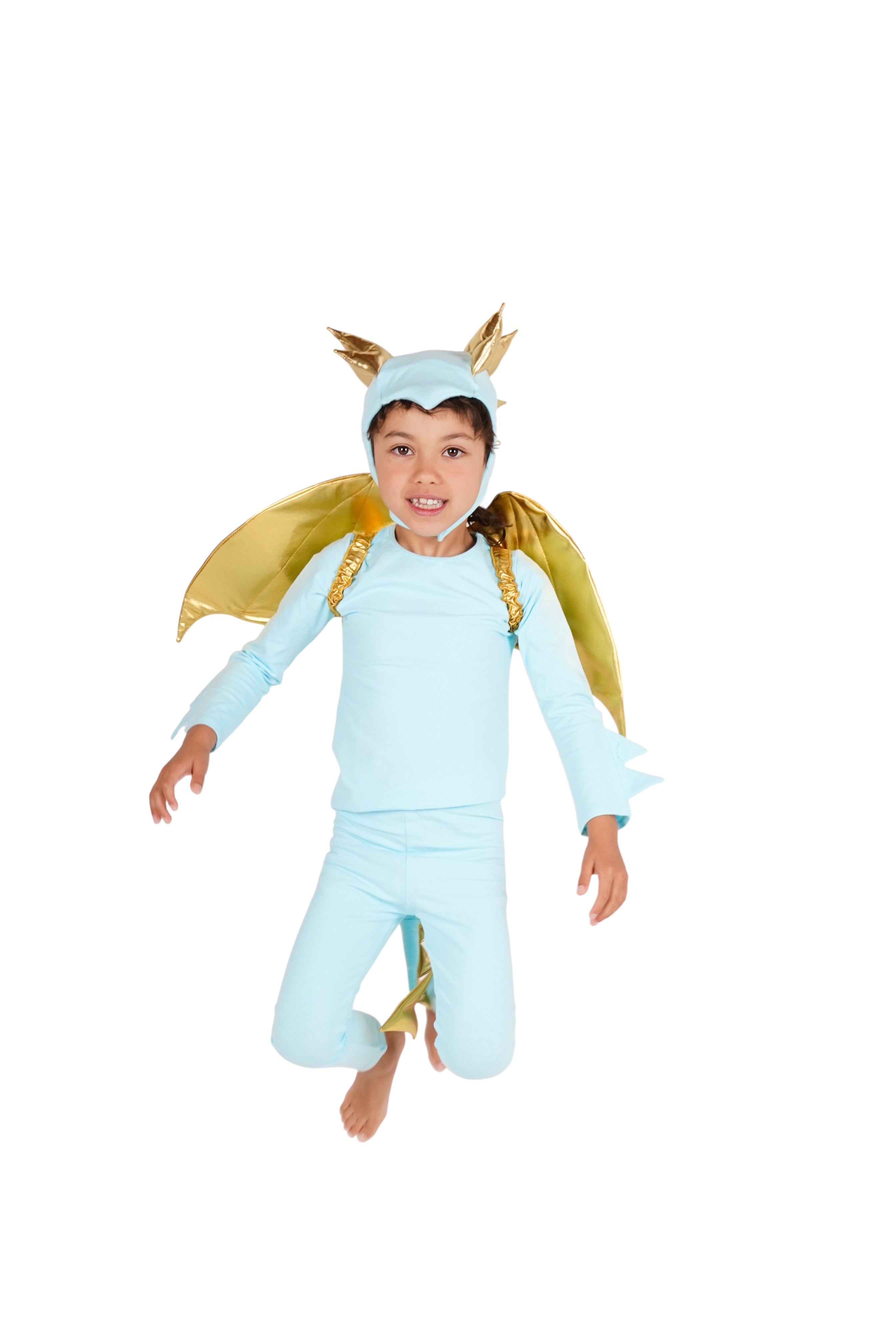 Band of the Wild Sky Blue Dragon Costume