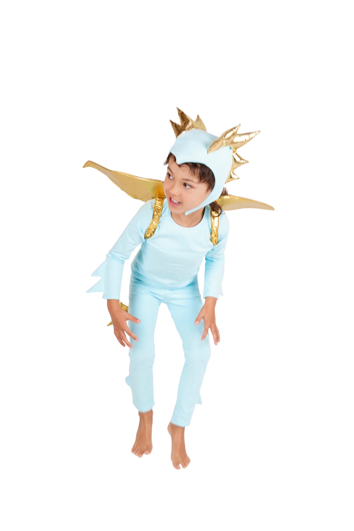 Band of the Wild Sky Blue Dragon Costume