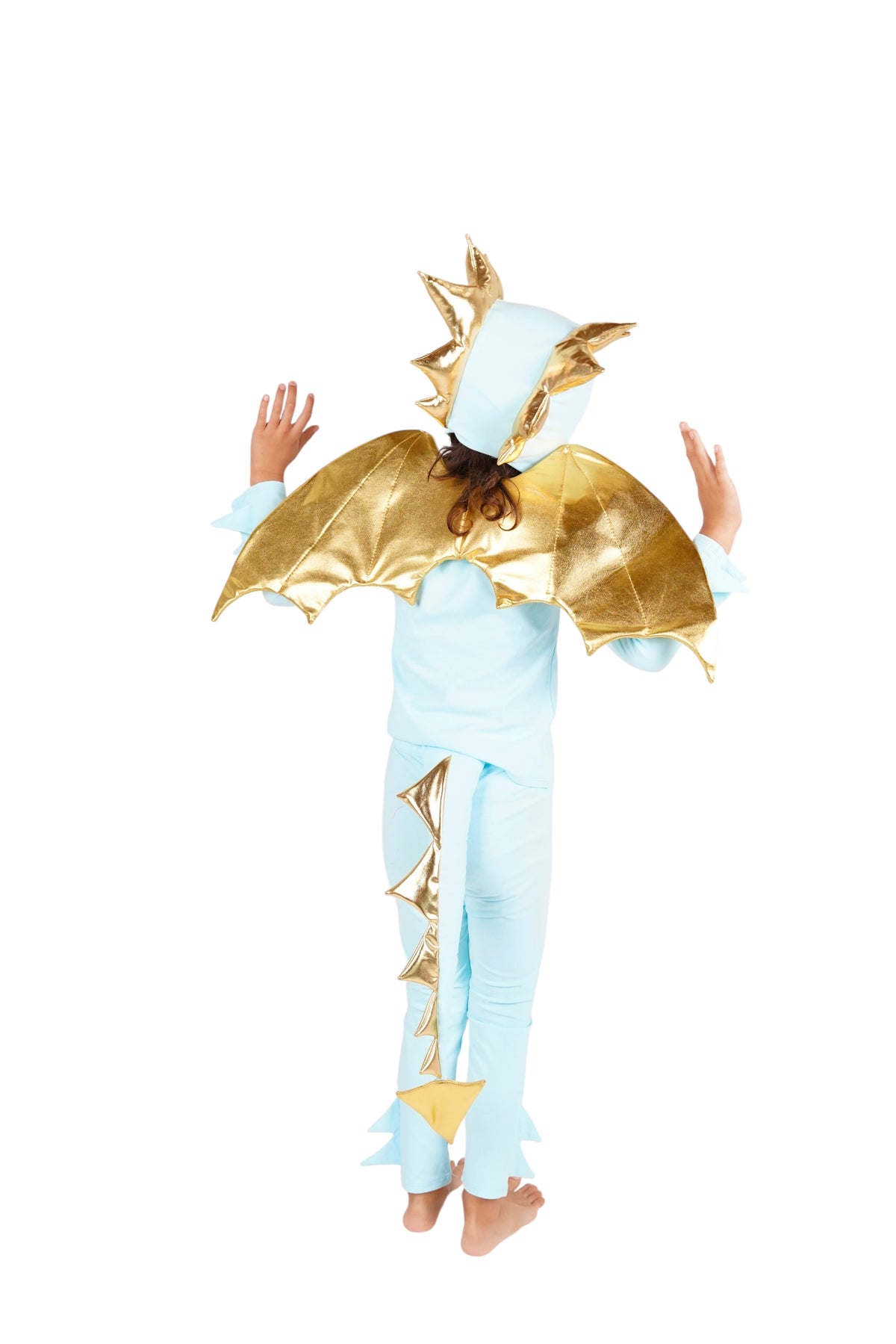 Band of the Wild Sky Blue Dragon Costume