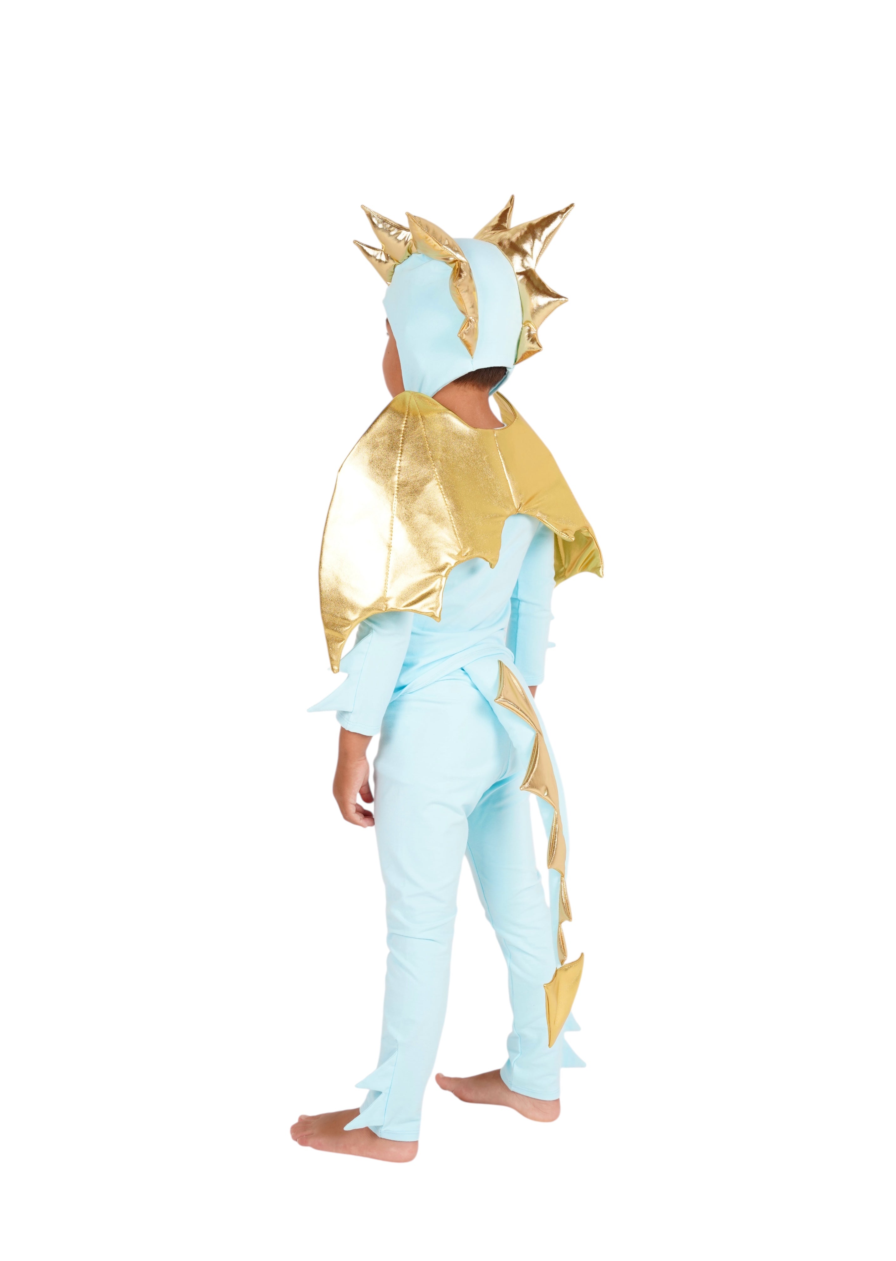 Band of the Wild Sky Blue Dragon Costume