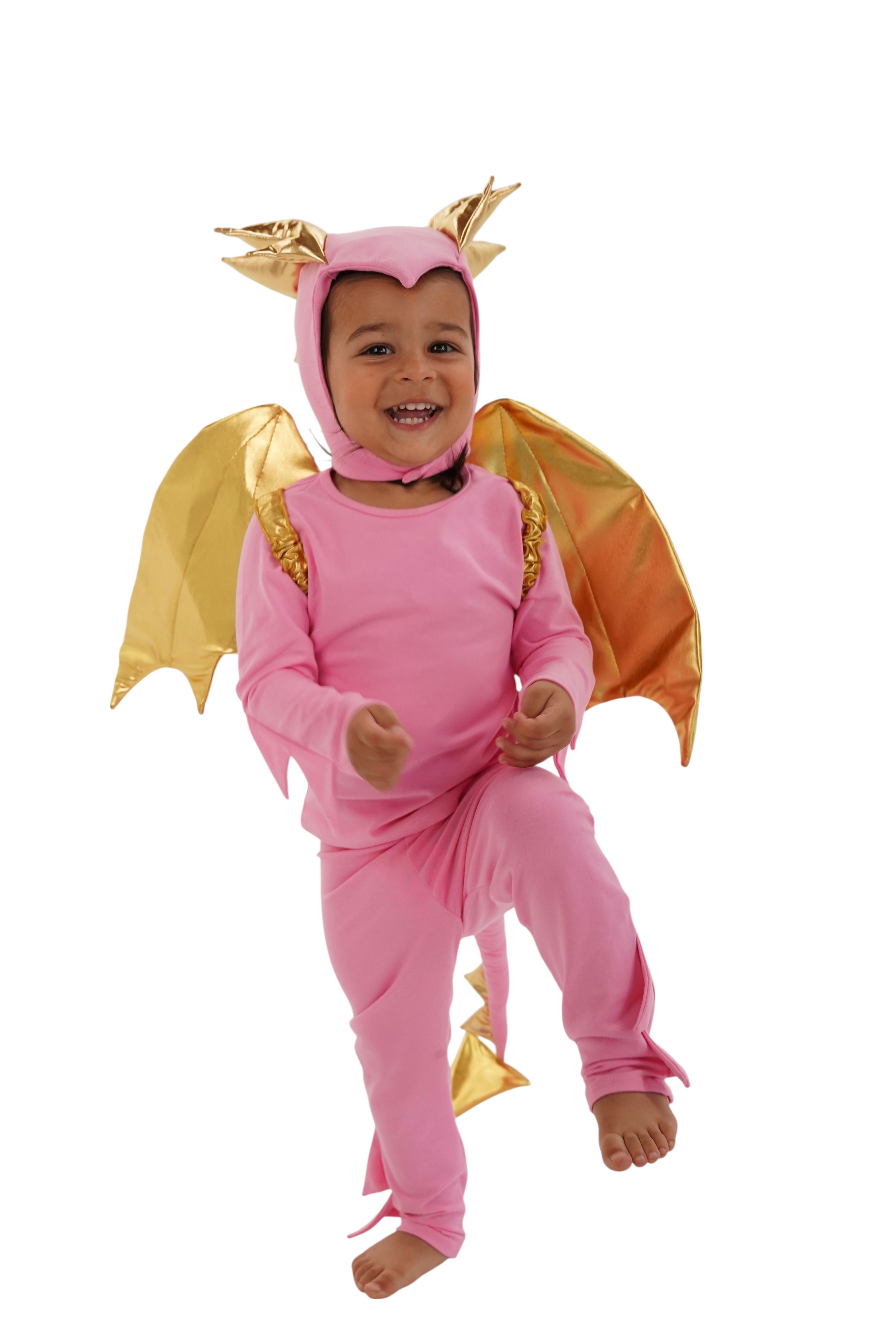 Band of the Wild Pink Sky Dragon