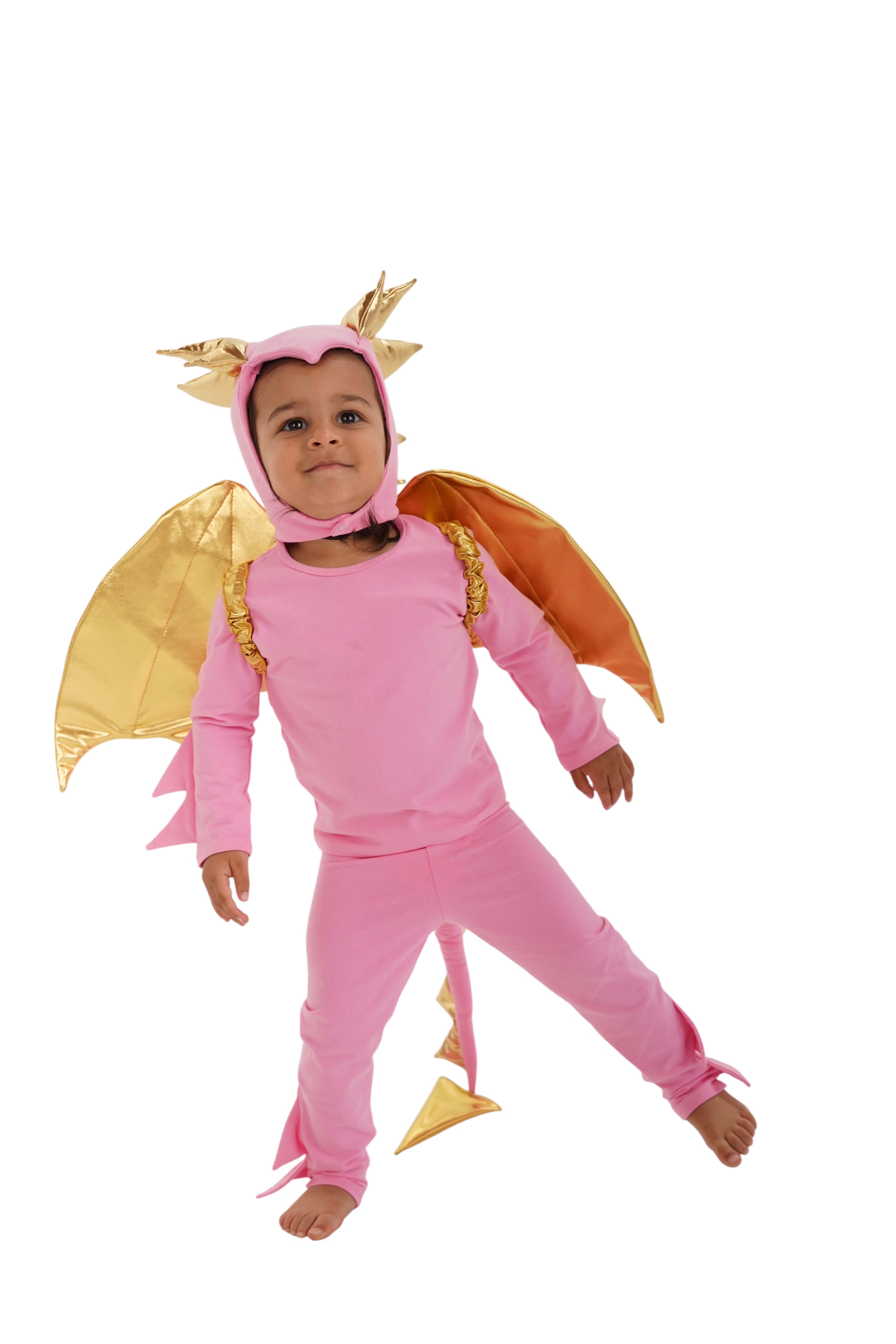 Band of the Wild Pink Sky Dragon