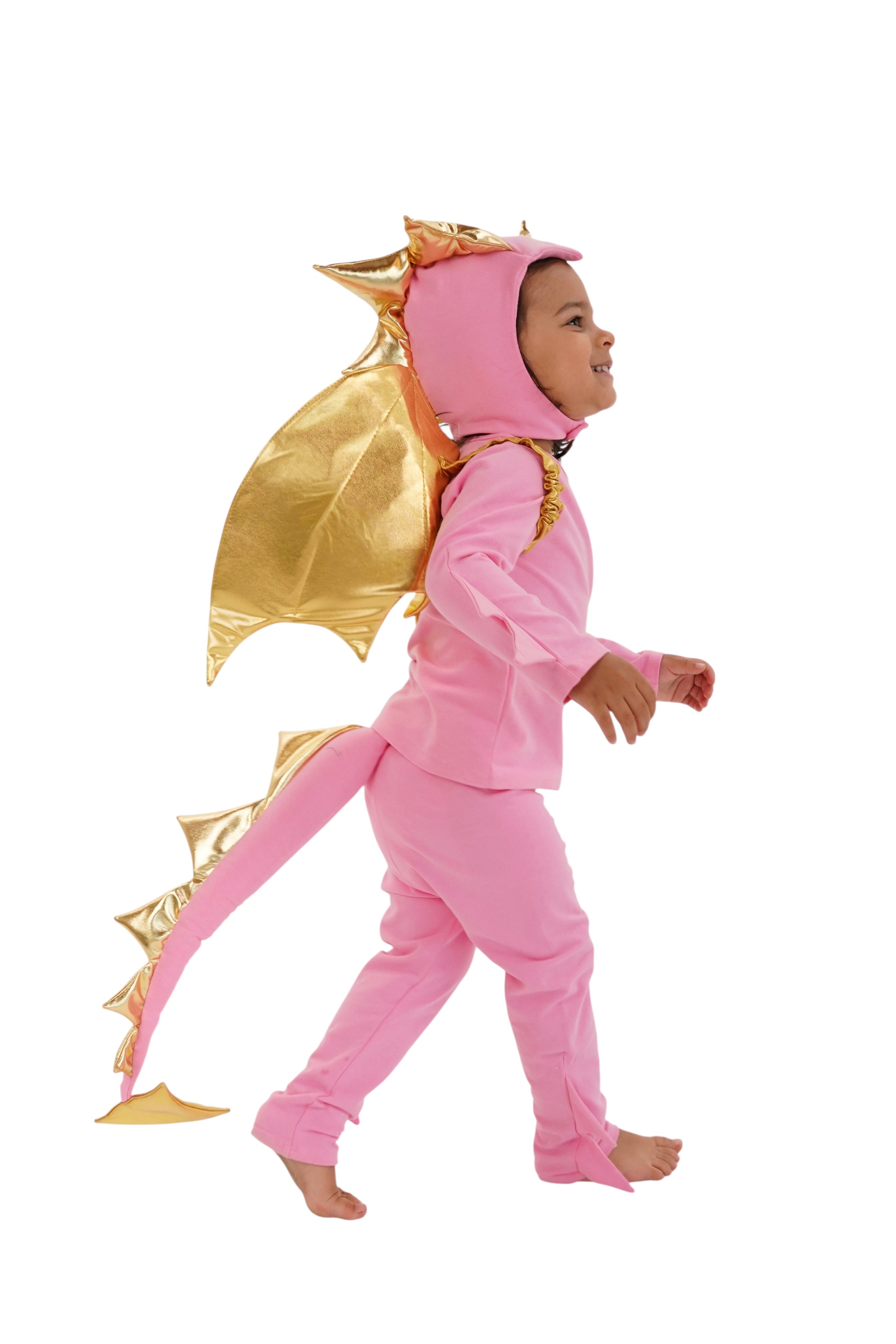 Band of the Wild Pink Sky Dragon