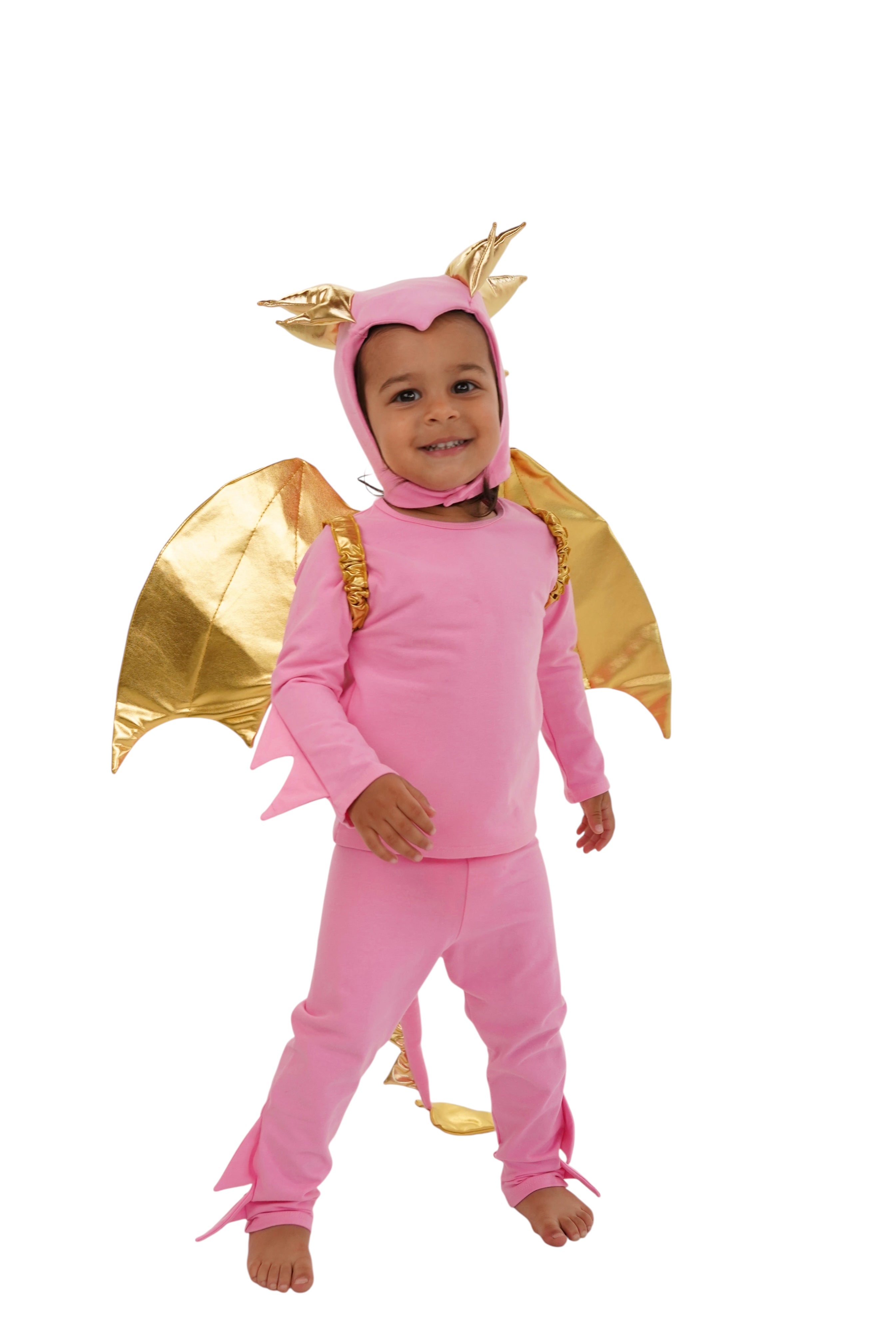 Band of the Wild Pink Sky Dragon