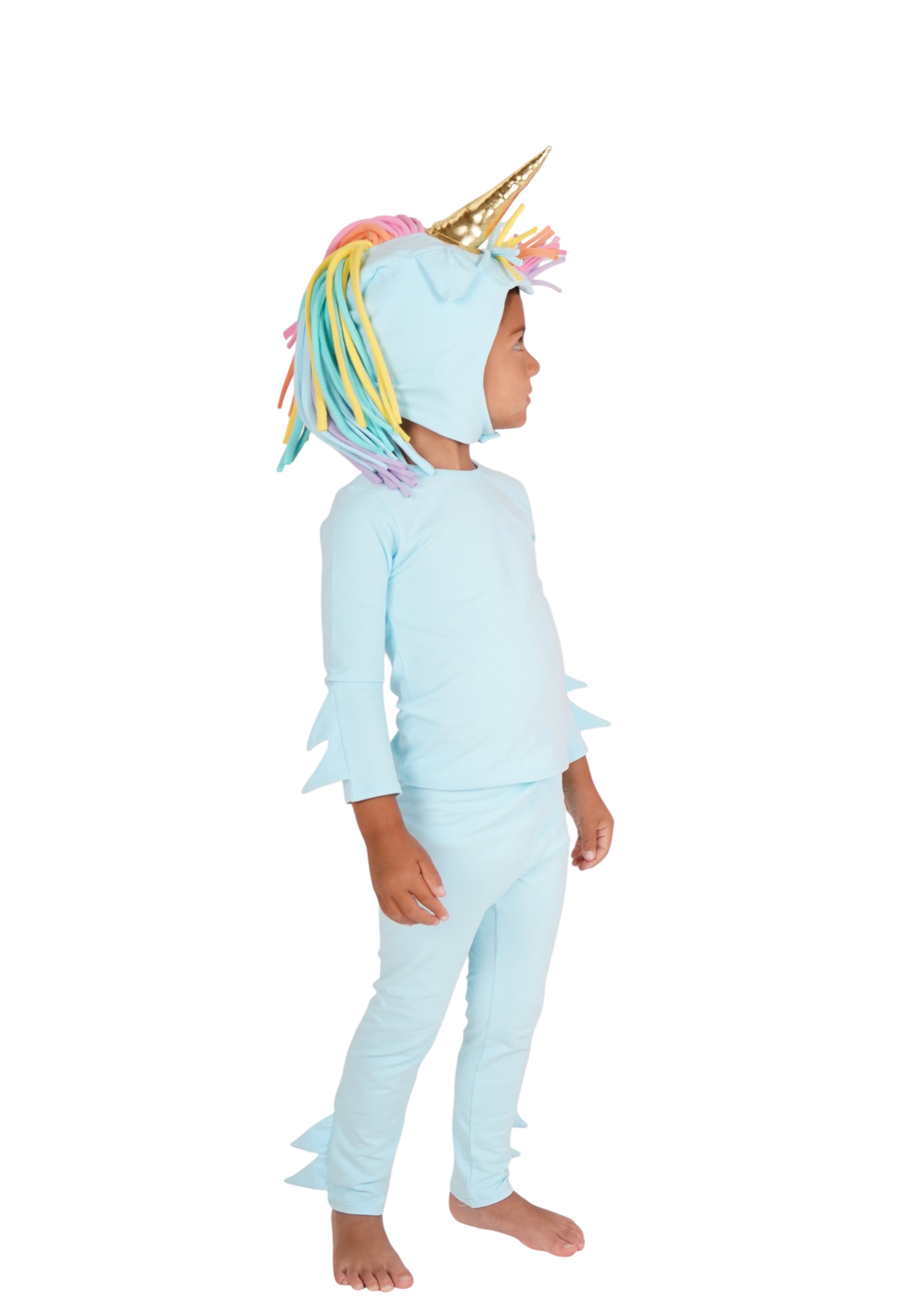 Band of the Wild Rainbow Sky Unicorn