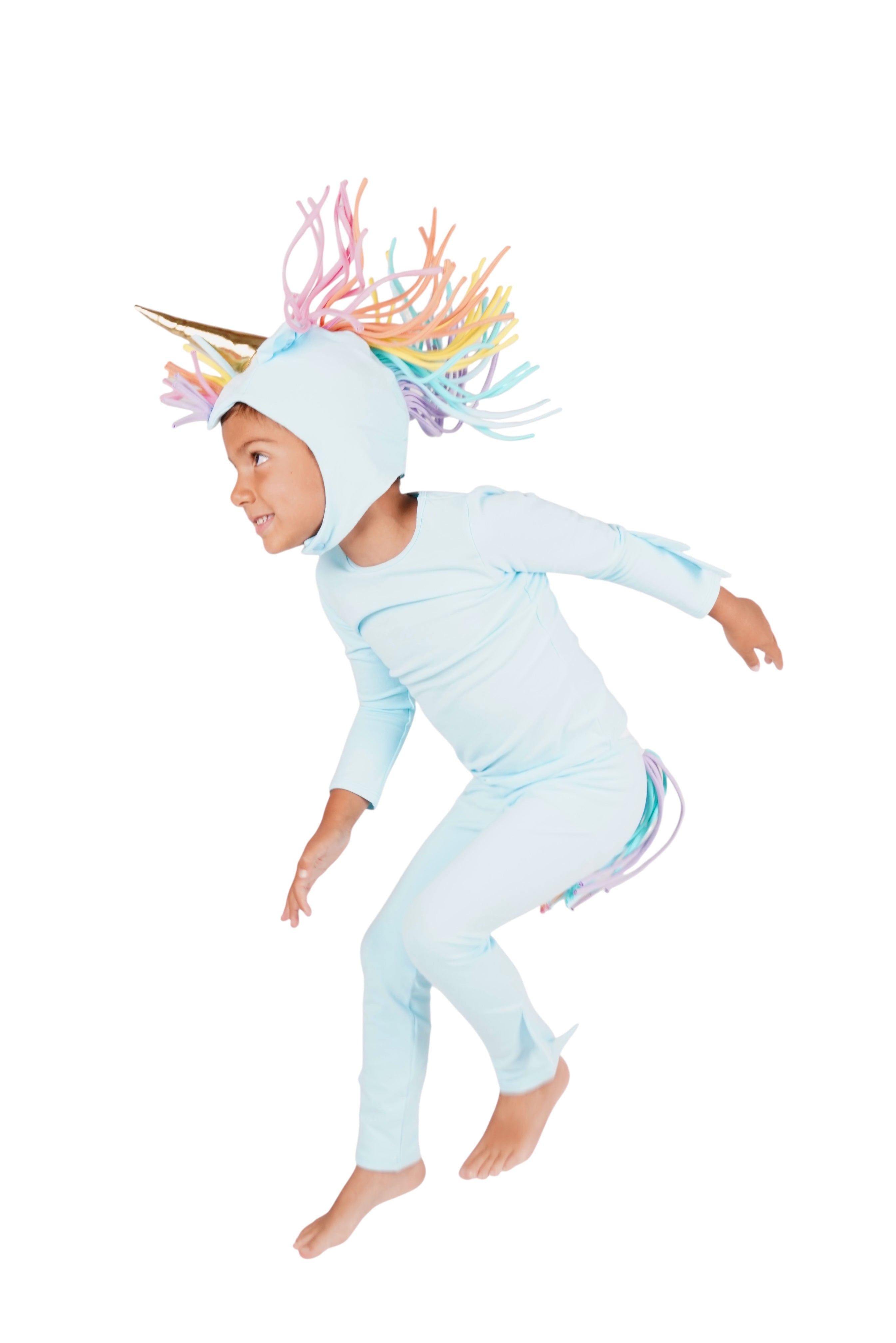 Band of the Wild Rainbow Sky Unicorn