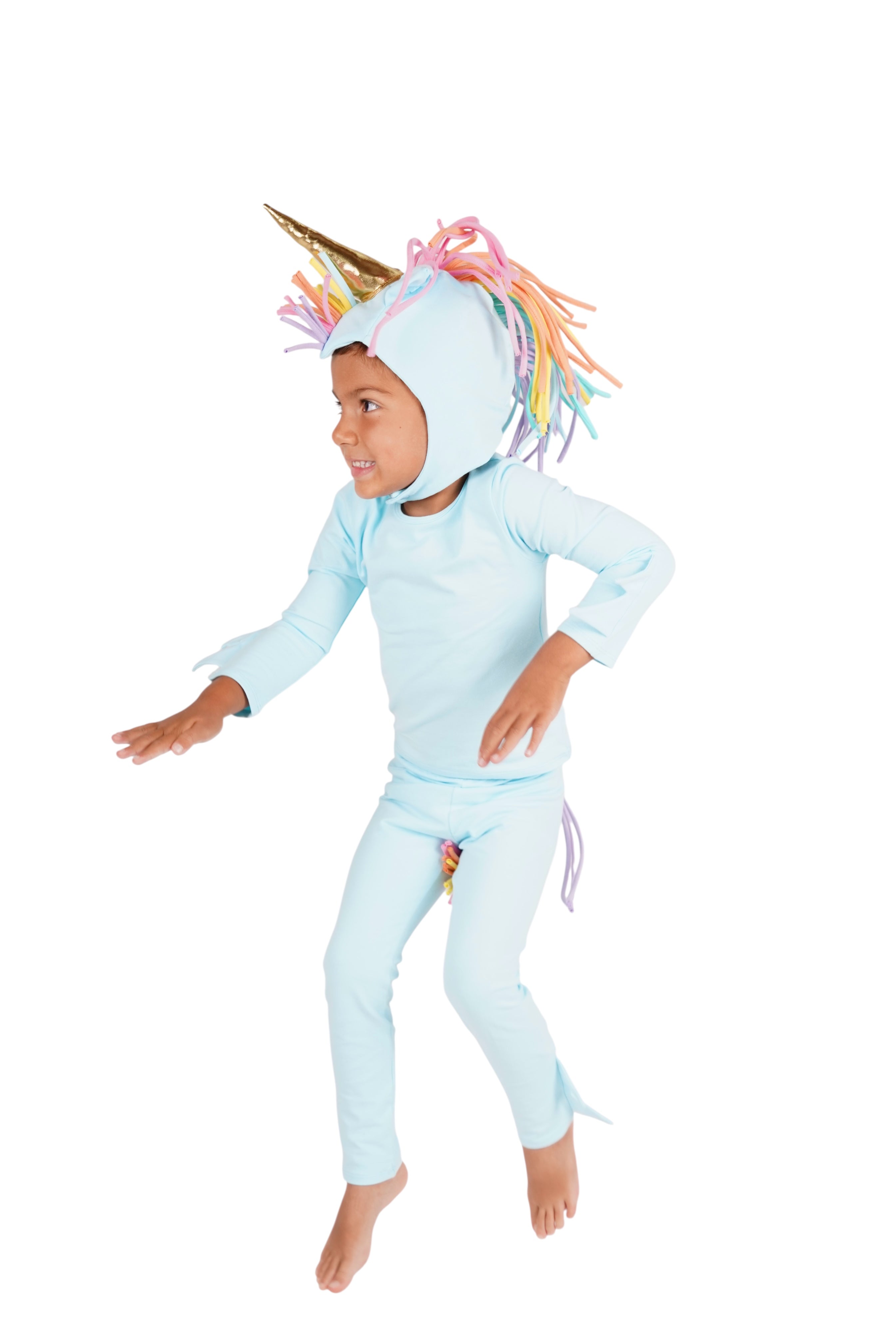 Band of the Wild Rainbow Sky Unicorn