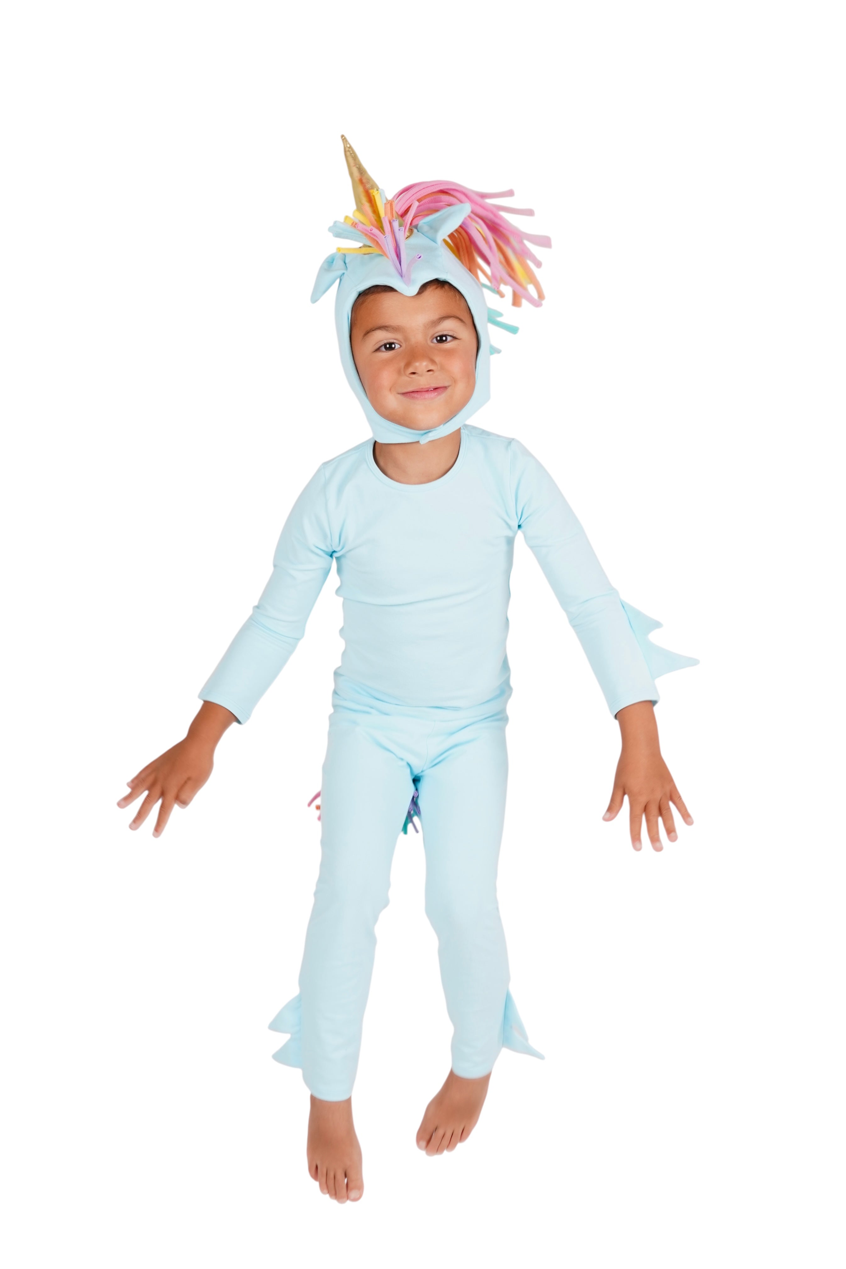 Band of the Wild Rainbow Sky Unicorn