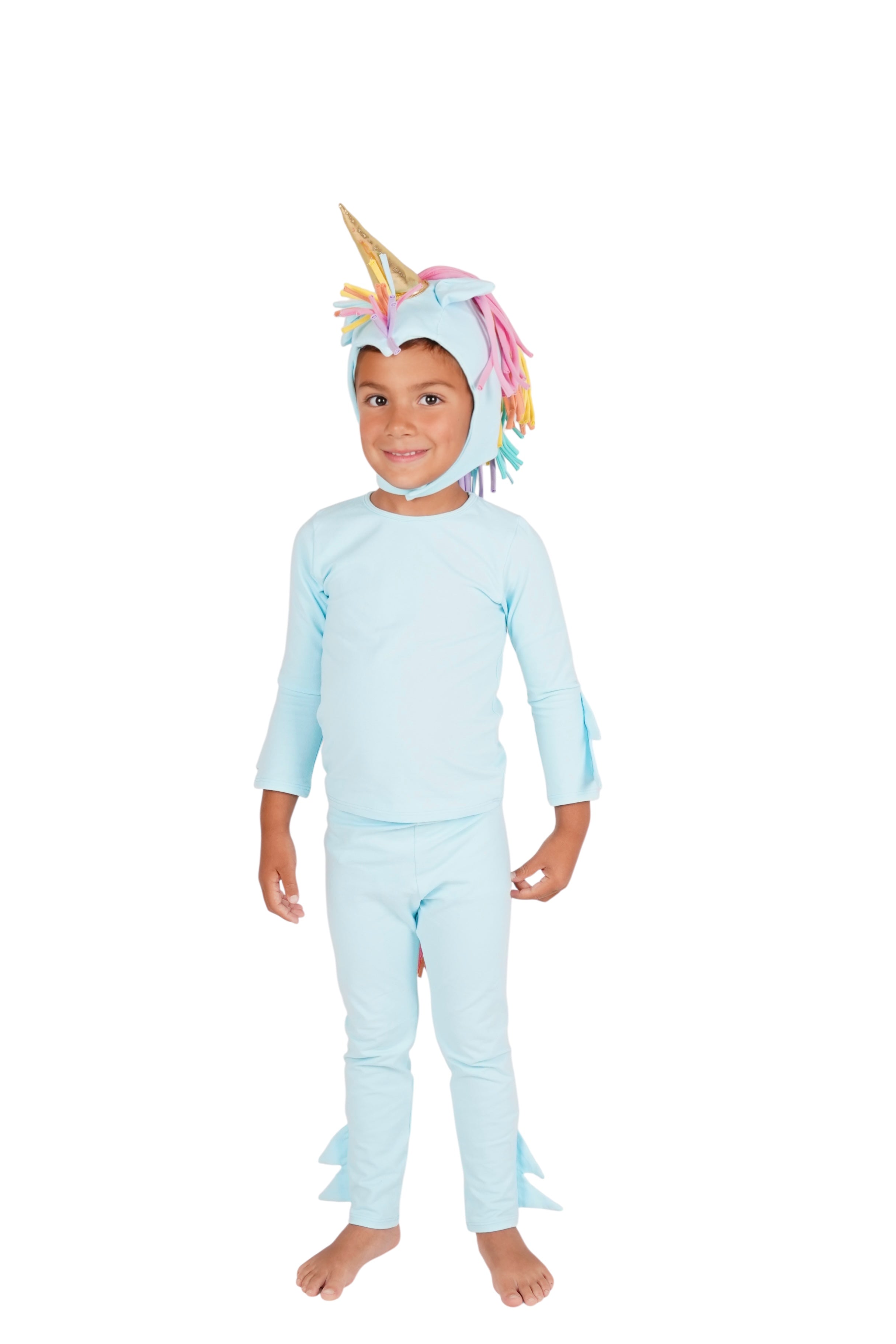 Band of the Wild Rainbow Sky Unicorn