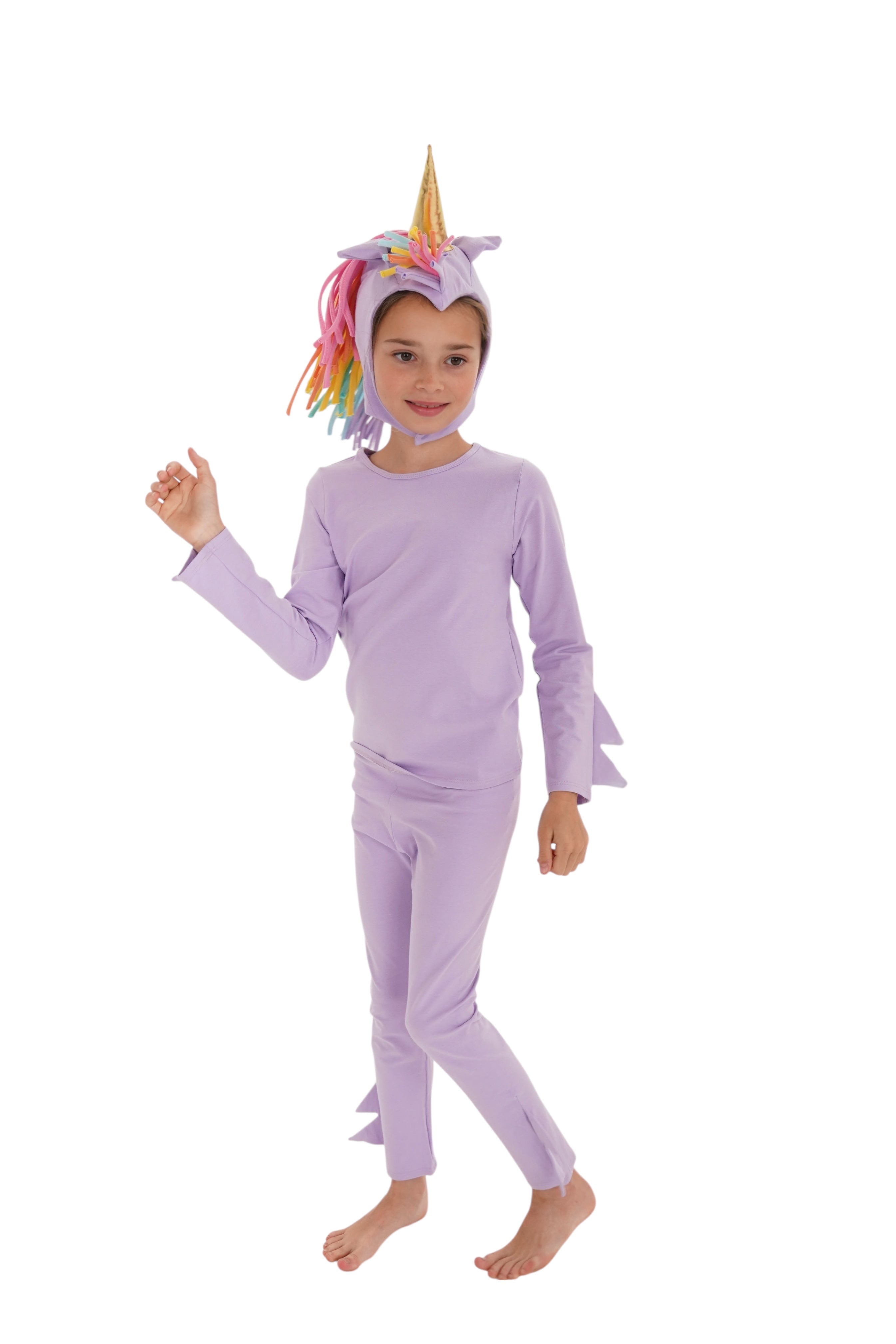 Band of the Wild Lavender Sky Unicorn