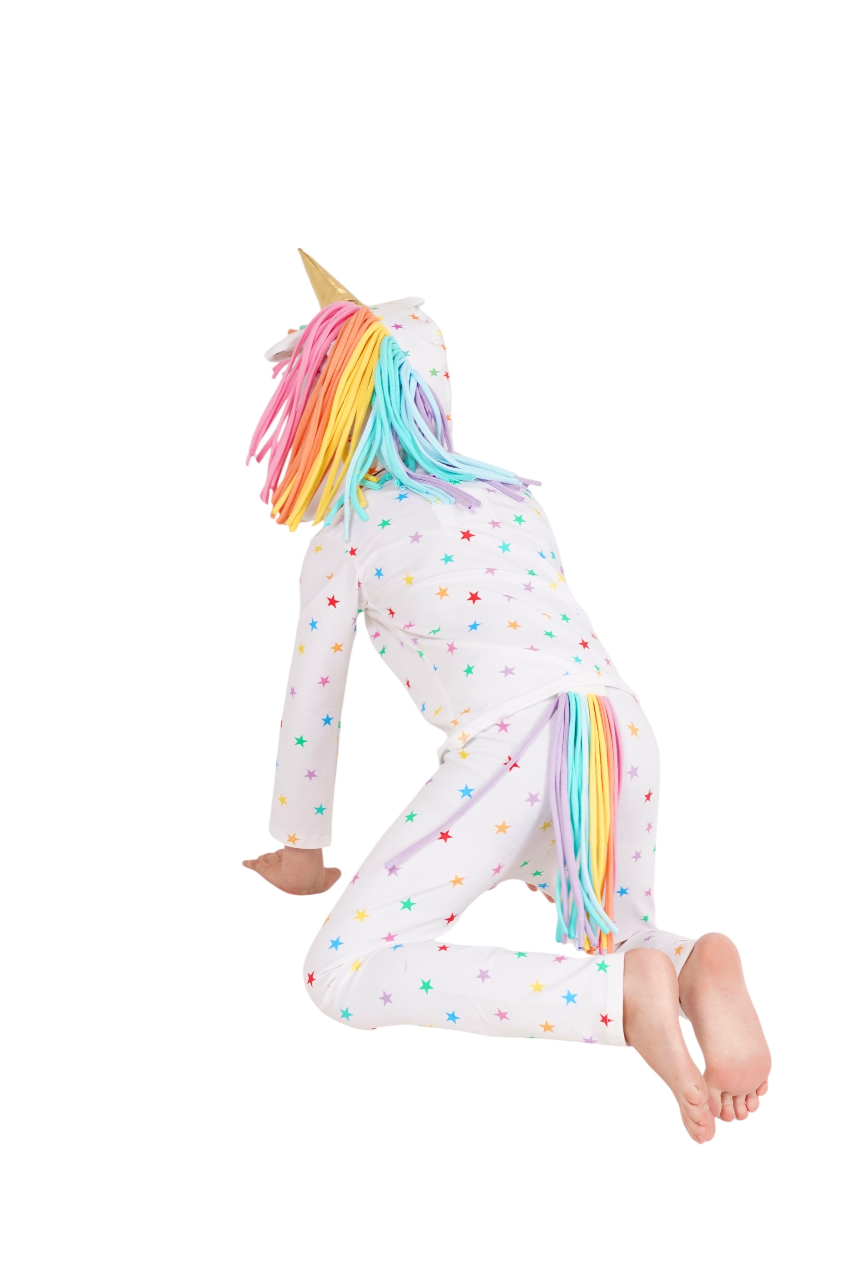 Band of the Wild Rainbow Star Unicorn