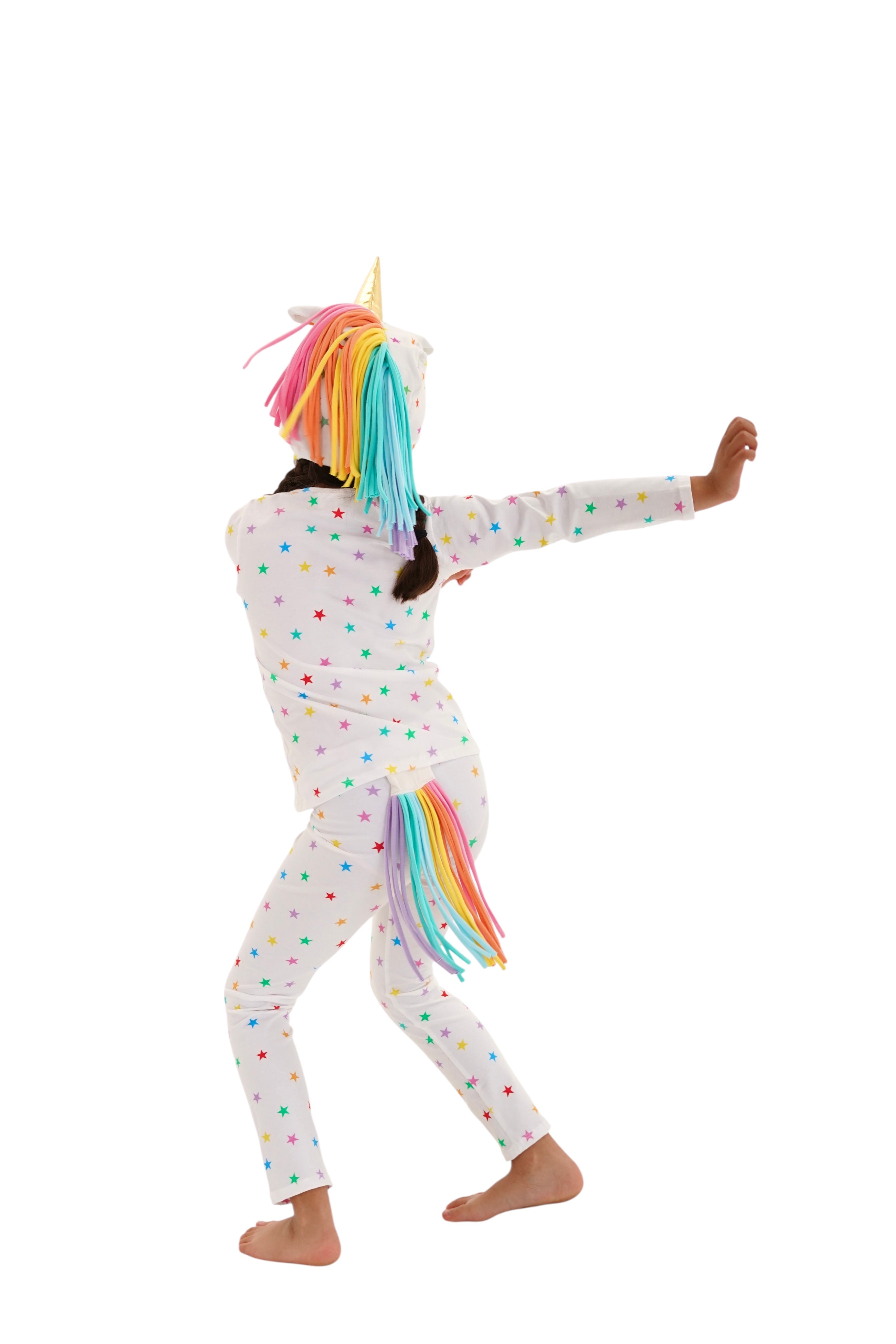 Band of the Wild Rainbow Star Unicorn
