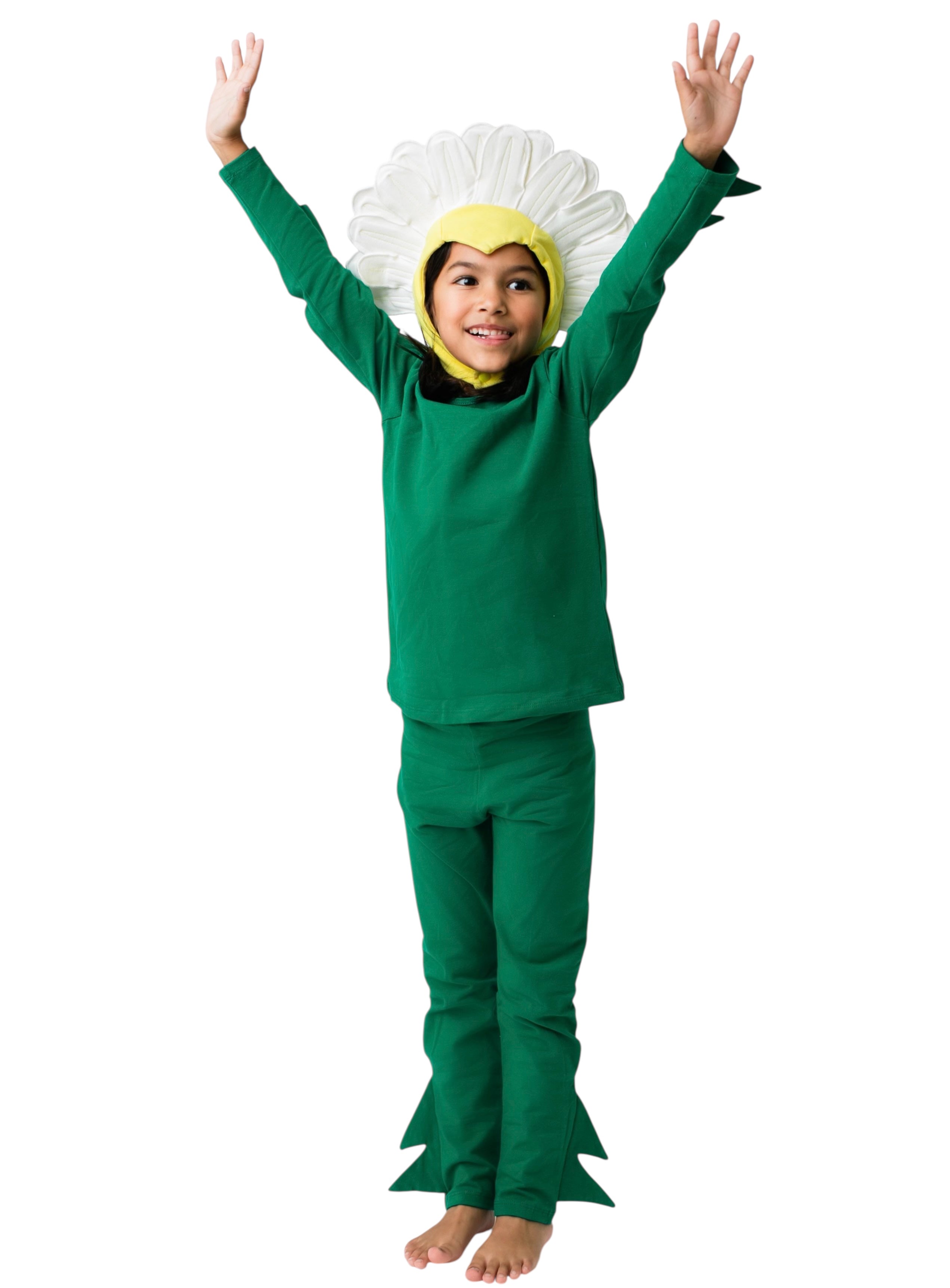 Band of the Wild Daisy Costume