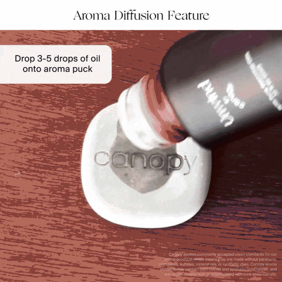 Canopy Portable Humidifier